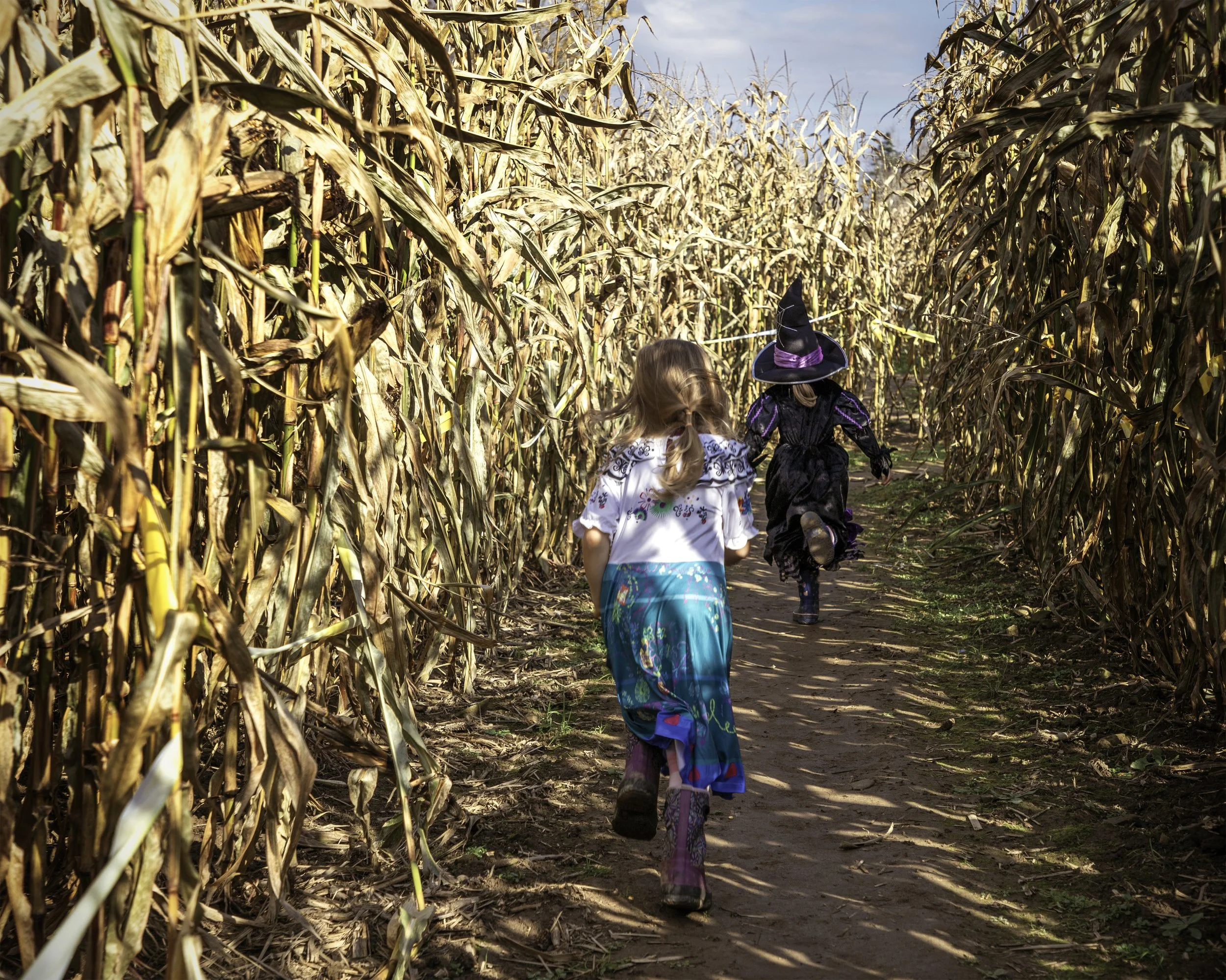 Fletcher's Farm Corn Maze