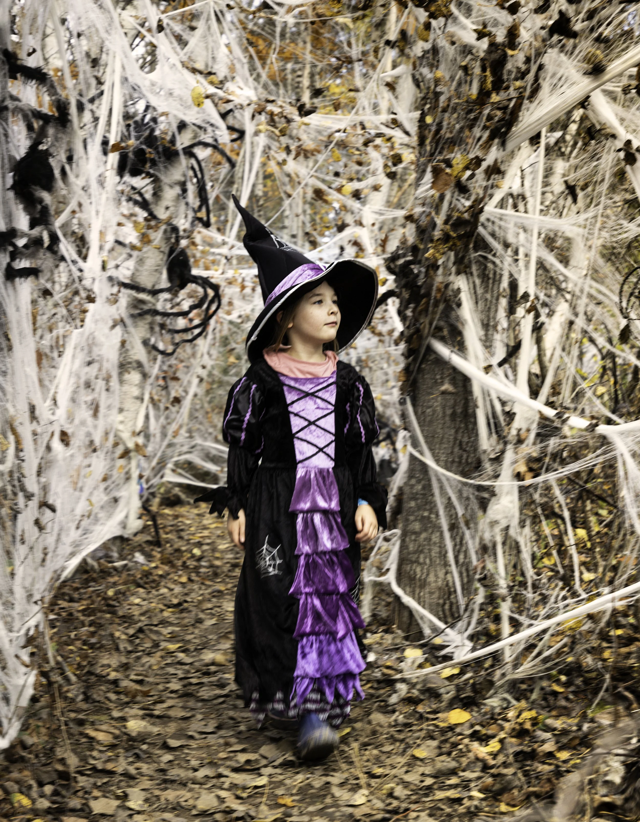 Fletchers Farm Daytime Haunted Trail: Low-Level Scare