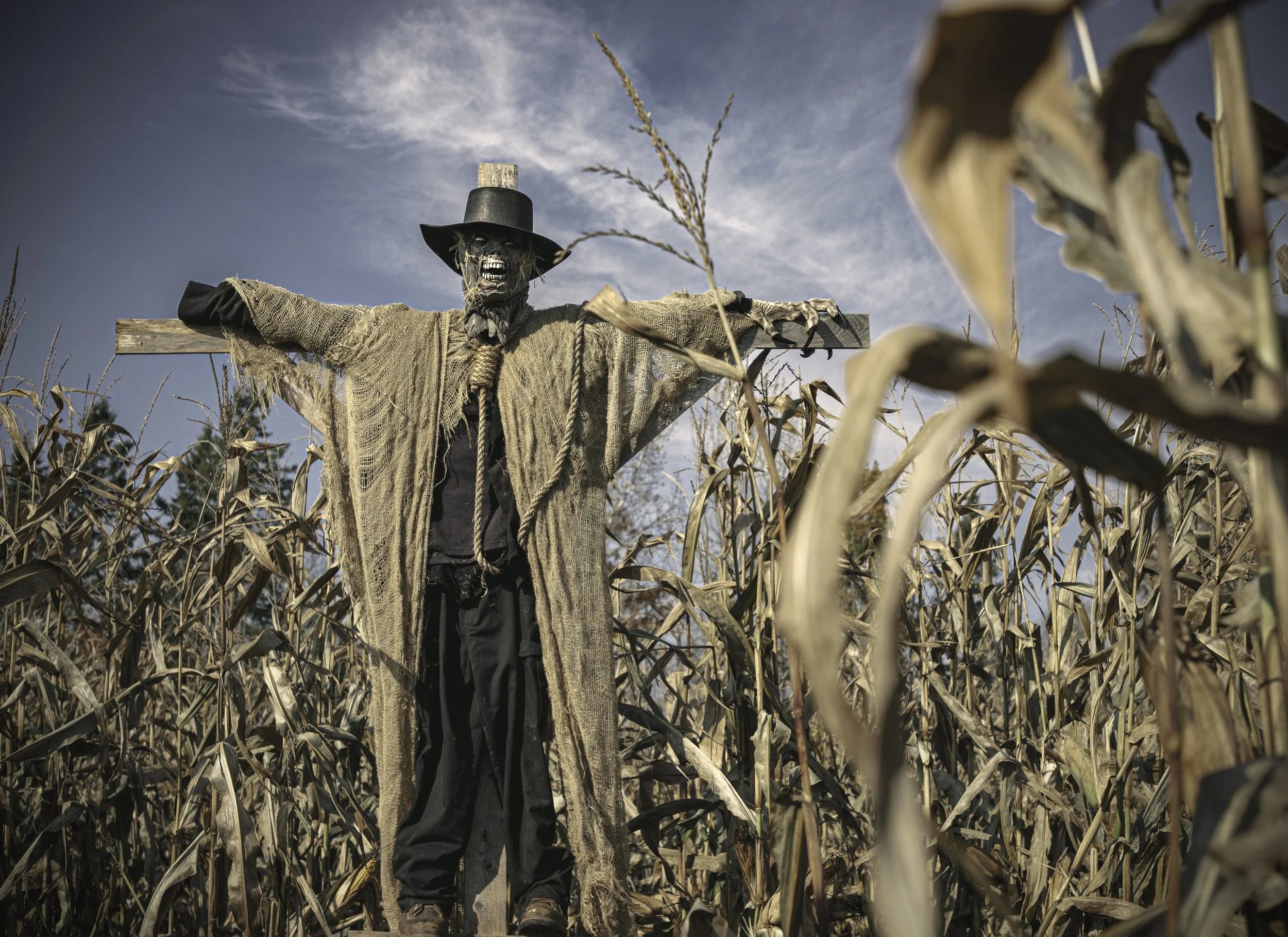 Fletchers Farm: Night Time Haunted Maze Trail