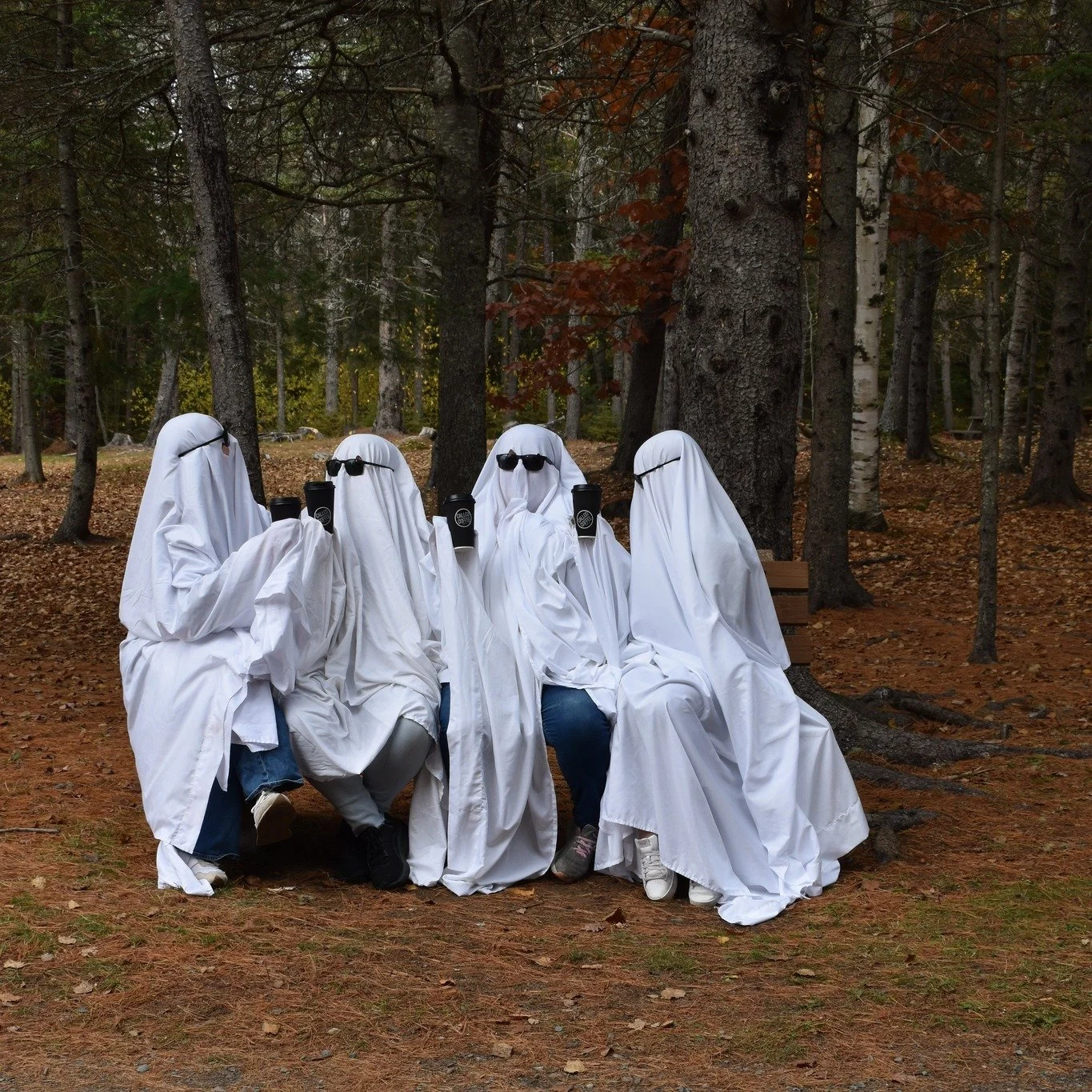 👻 Just a few friendly spirits hanging around before Halloween! 

From forest trails to riverside landmarks, our ghosts found some pretty great places to chill (and haunt 👀).

📍 French Fort Cove
📍 Ritchie Wharf Park
📍 Wilson's Point Historic Site