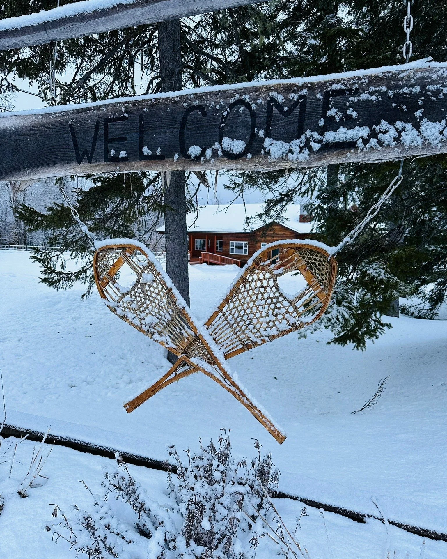 Looking to recharge? Welcome to FOUR Nature Resort, a secluded, all-seasons forest retreat along the Miramichi River.

With cozy cottages, riverside fire pits, scenic trails, and year-round activities, it&rsquo;s the perfect place to unwind or gather