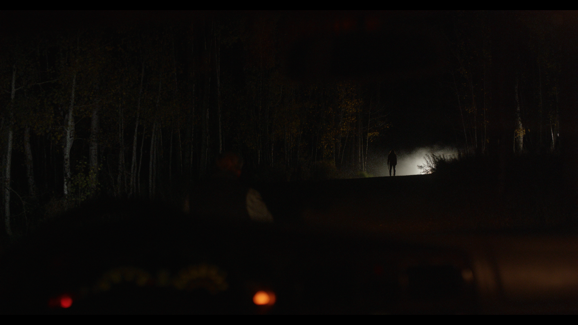 Dark Forest 1 _1.1.1.png