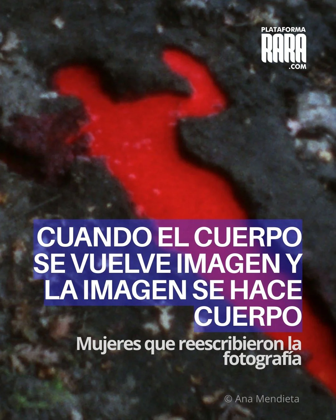 Cindy Sherman se disfraz&oacute; de diva, camarera y &ldquo;girl next door&rdquo; para desmontar estereotipos y evidenciar c&oacute;mo el cine y la publicidad moldean roles de g&eacute;nero. Ana Mendieta, exiliada a los 12 a&ntilde;os, borr&oacute; l