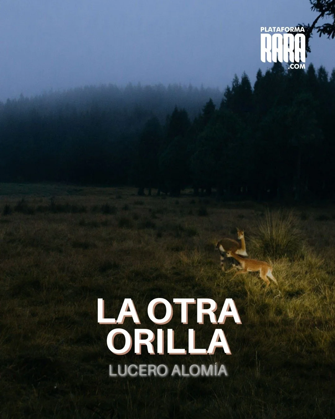 𝕃𝕒 𝕠𝕥𝕣𝕒 𝕠𝕣𝕚𝕝𝕝𝕒 𝕟𝕠 𝕖𝕤 𝕦𝕟 𝕝𝕦𝕘𝕒𝕣.
𝔼𝕤 𝕦𝕟 𝕖𝕤𝕥𝕒𝕕𝕠.

En esta &uacute;ltima nota del a&ntilde;o en el Blog de Plataforma RARA compartimos el proyecto de Lucero Alom&iacute;a, artista seleccionada en nuestra convocatoria.

Un 