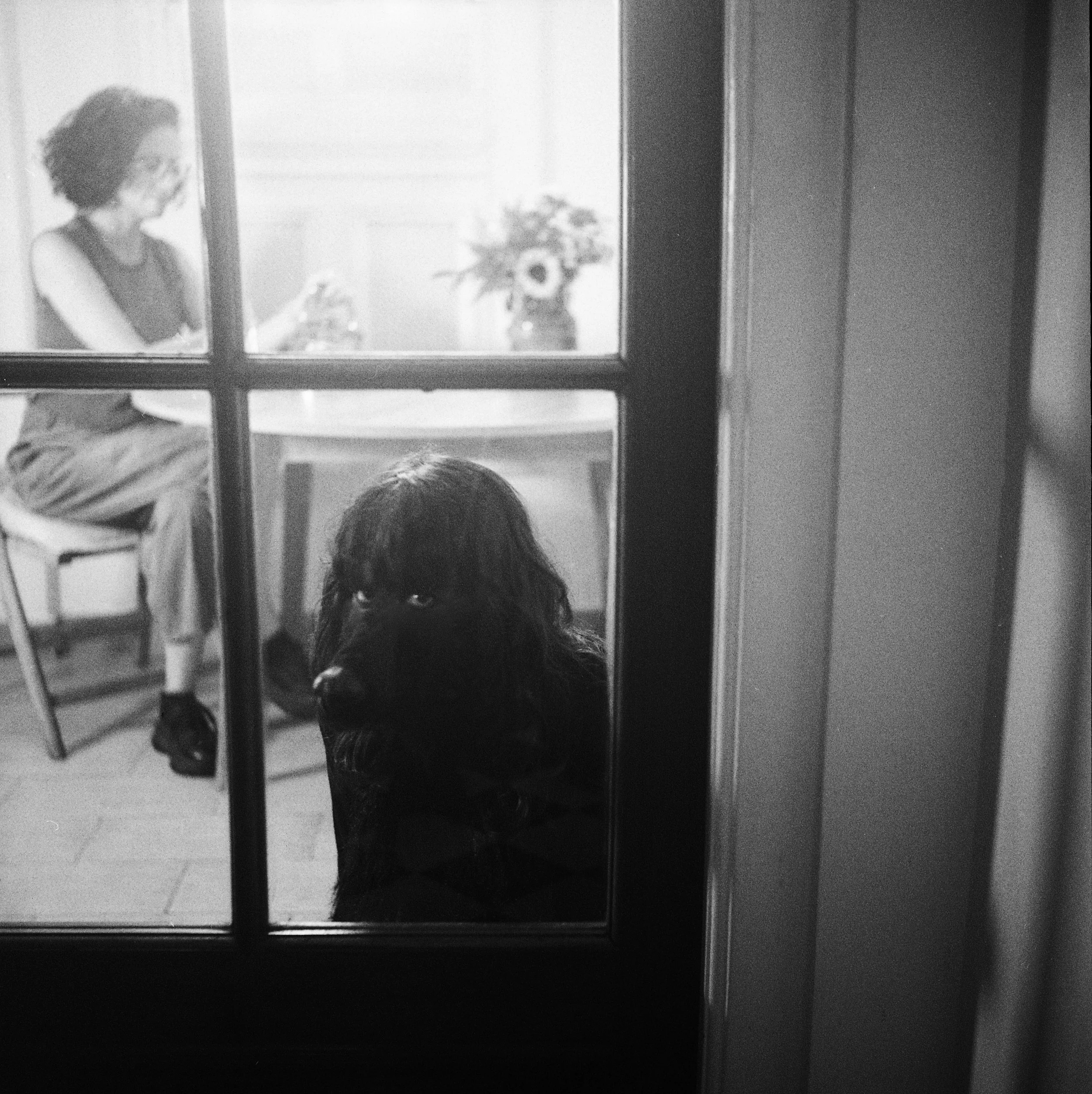 Valeria_Sestua_Mi_Perro_Soy_Yo_Plataforma_rara (1).jpg