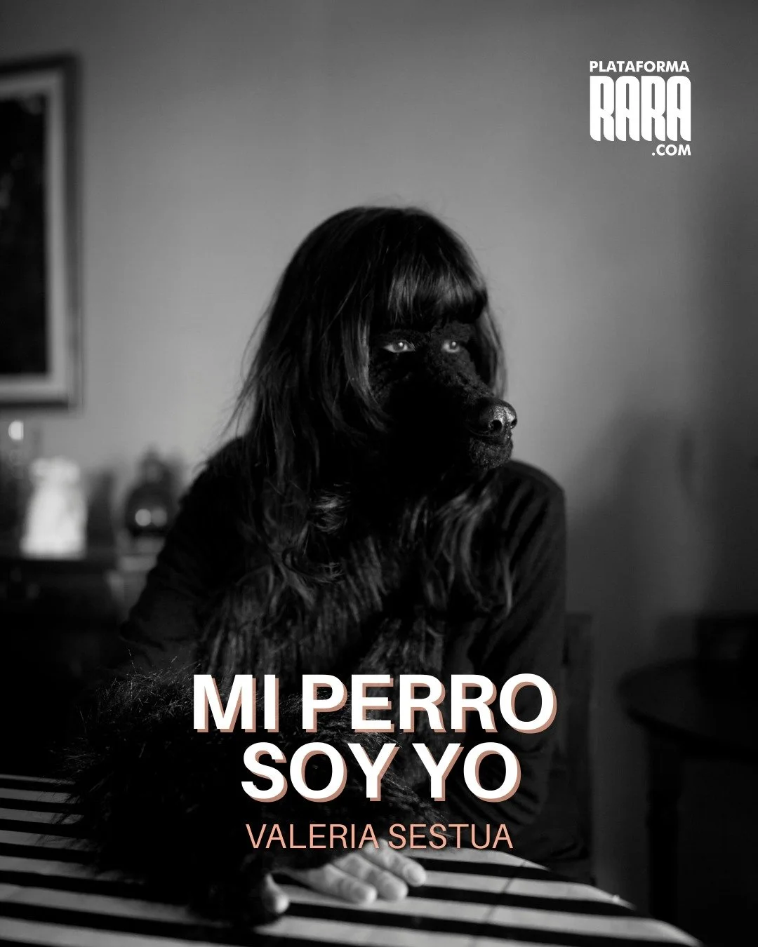 𝗠𝗶 𝗣𝗲𝗿𝗿𝗼 𝗦𝗼𝘆 𝗬𝗼, 𝗱𝗲 𝗩𝗮𝗹𝗲𝗿𝗶𝗮 𝗦𝗲𝘀𝘁𝘂𝗮

Un perro que siempre quiso existir, no pide permiso.
Toda la vida quiso ser un perro. No como una met&aacute;fora amable ni como un juego infantil, sino como una forma posible de estar en