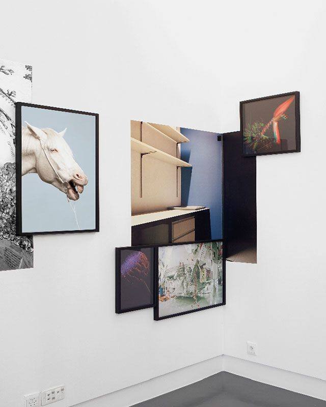 &iexcl;&Uacute;𝐋𝐓𝐈𝐌𝐀 𝐋𝐋𝐀𝐌𝐀𝐃𝐀! ⏳

El viernes 6 de marzo cerramos oficialmente las inscripciones para nuestro 𝐏𝐫𝐨𝐠𝐫𝐚𝐦𝐚 𝐝𝐞 𝐅𝐨𝐫𝐦𝐚𝐜𝐢&oacute;𝐧 𝐀𝐧𝐮𝐚𝐥 𝐞𝐧 𝐅𝐨𝐭𝐨𝐠𝐫𝐚𝐟&iacute;𝐚 𝐂𝐨𝐧𝐭𝐞𝐦𝐩𝐨𝐫&aacute;𝐧𝐞𝐚.

Si es