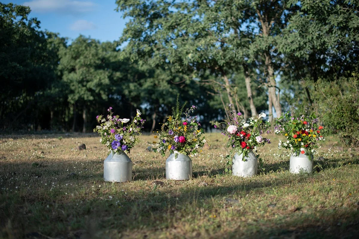 Flores Para Elena_Plataforma_RARA (2).jpg