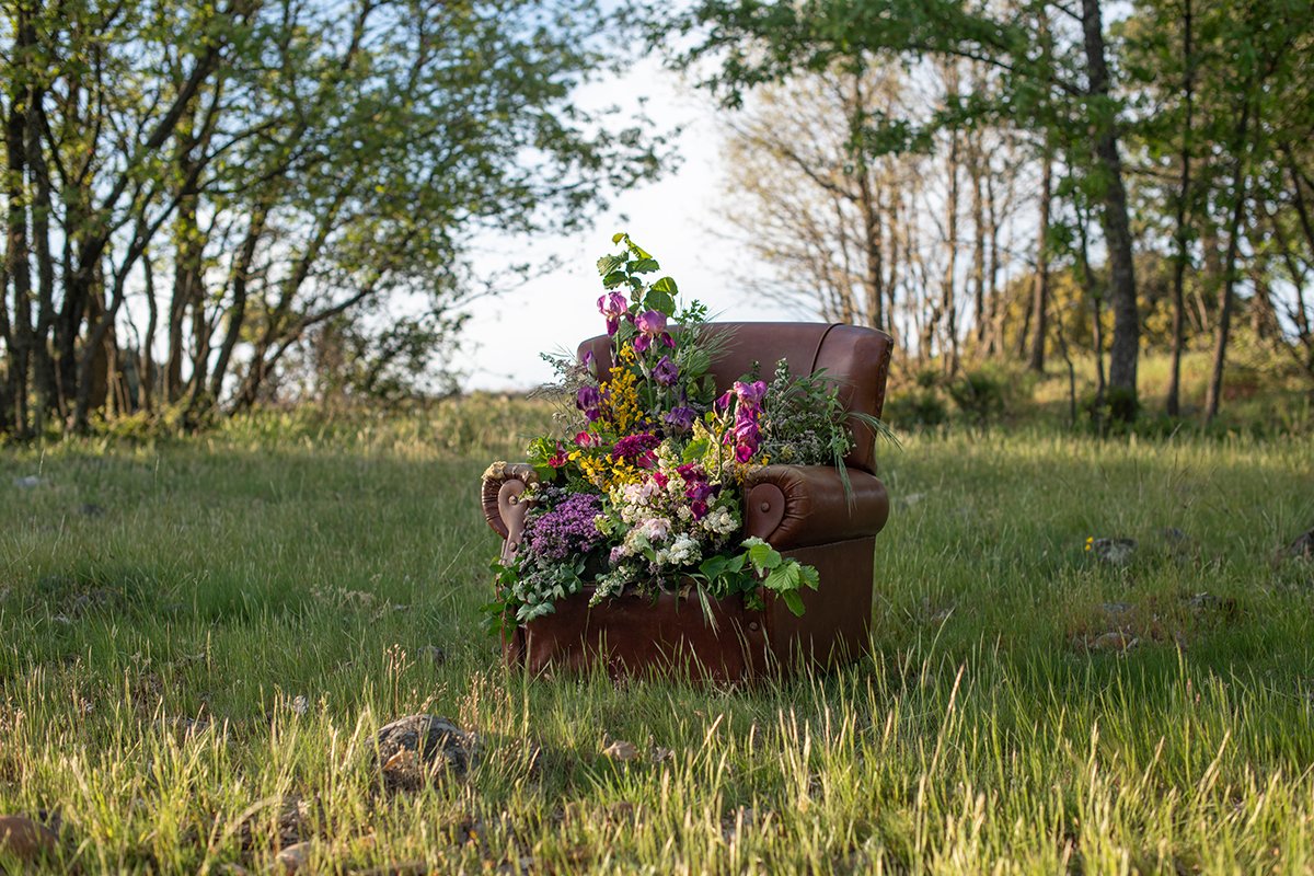 Flores Para Elena_Plataforma_RARA (1).jpg