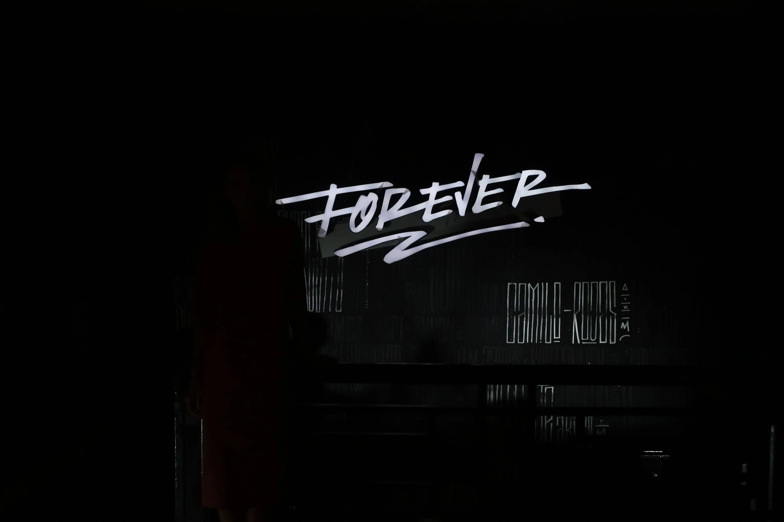 forever-camilorojas-2.jpg