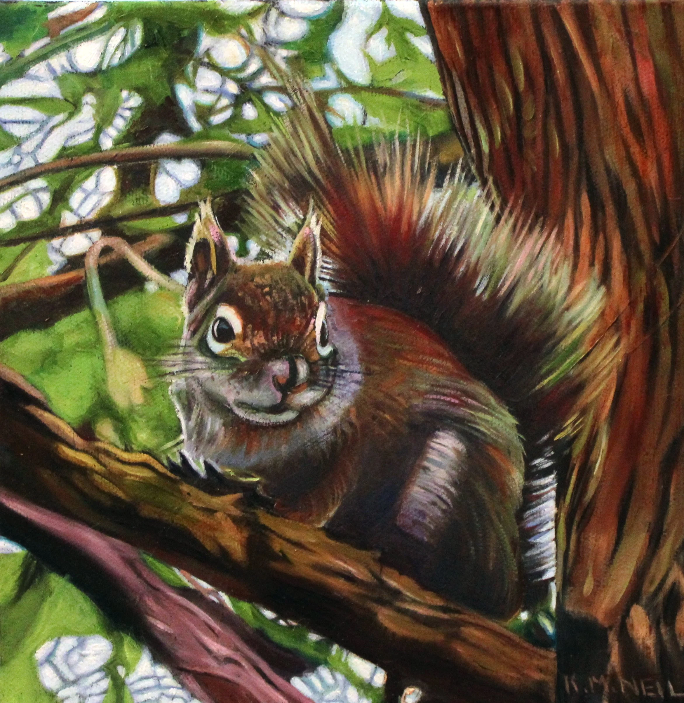  Forest Flame- Red Squirrel (8X8) OIL  Artist's Studio London, ON,