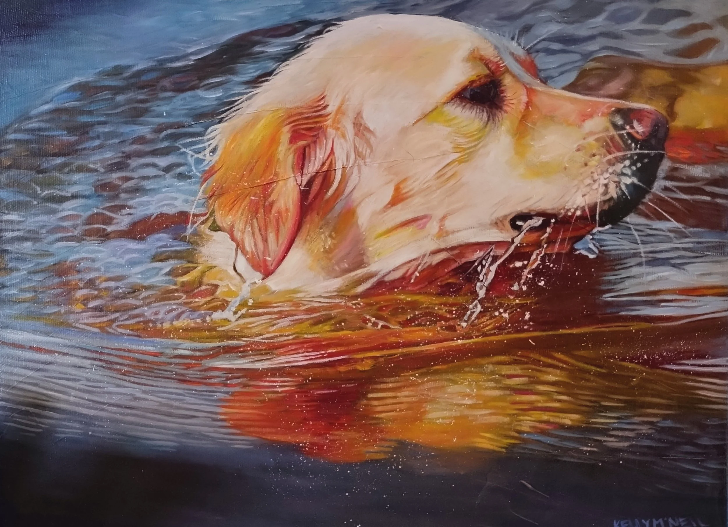  Natural Born Swimmer - Golden Retriever(11X14) Oil   Artist's Studio London, ON, FOR SALE