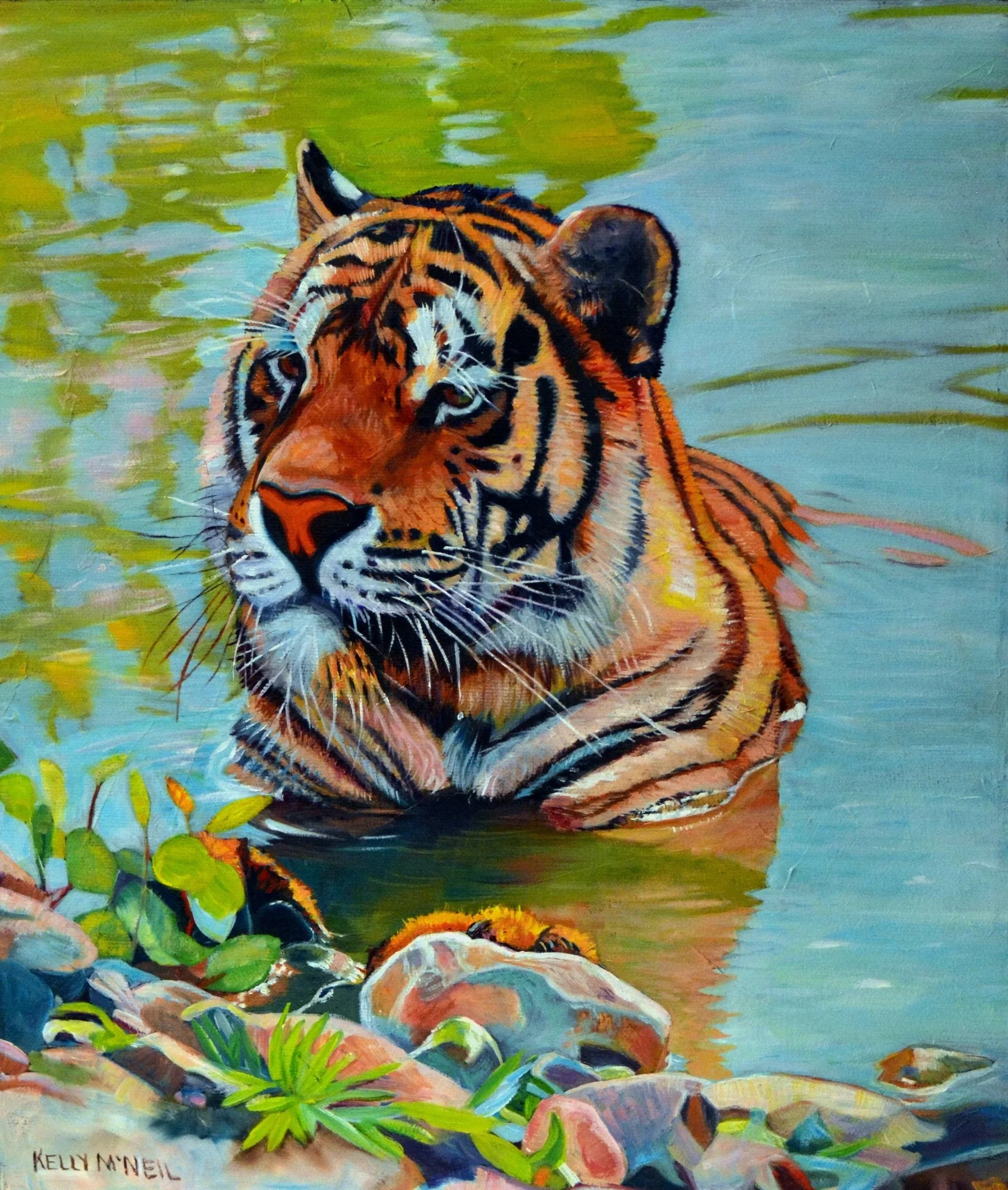  Tiger (12X14)  OIL    Artist's Studio London, ON
 FOR SALE  
