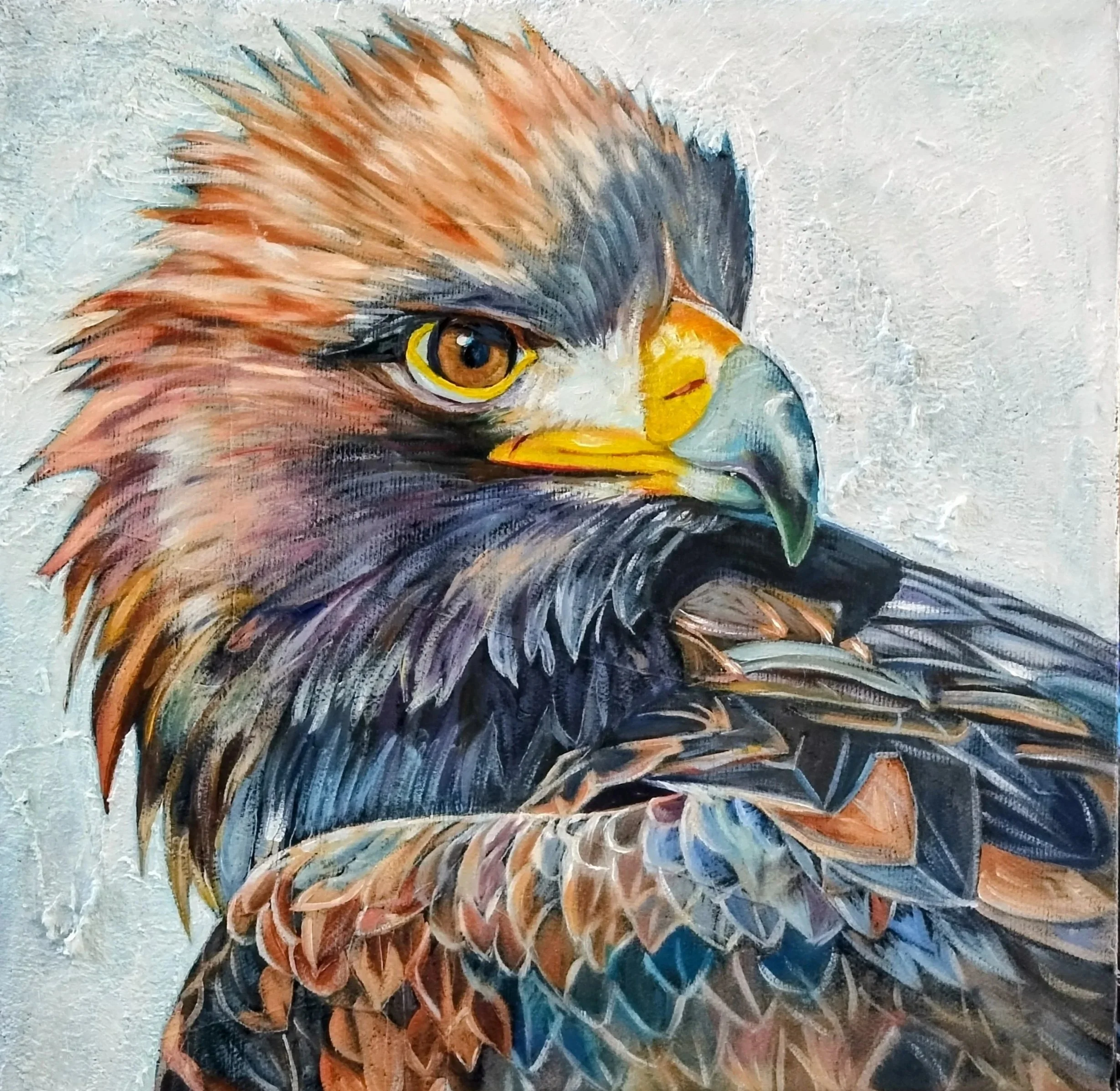  The Highland Monarch, Golden Eagle Eagle (9X9) Oil   Artist's Studio London, ON, FOR SALE