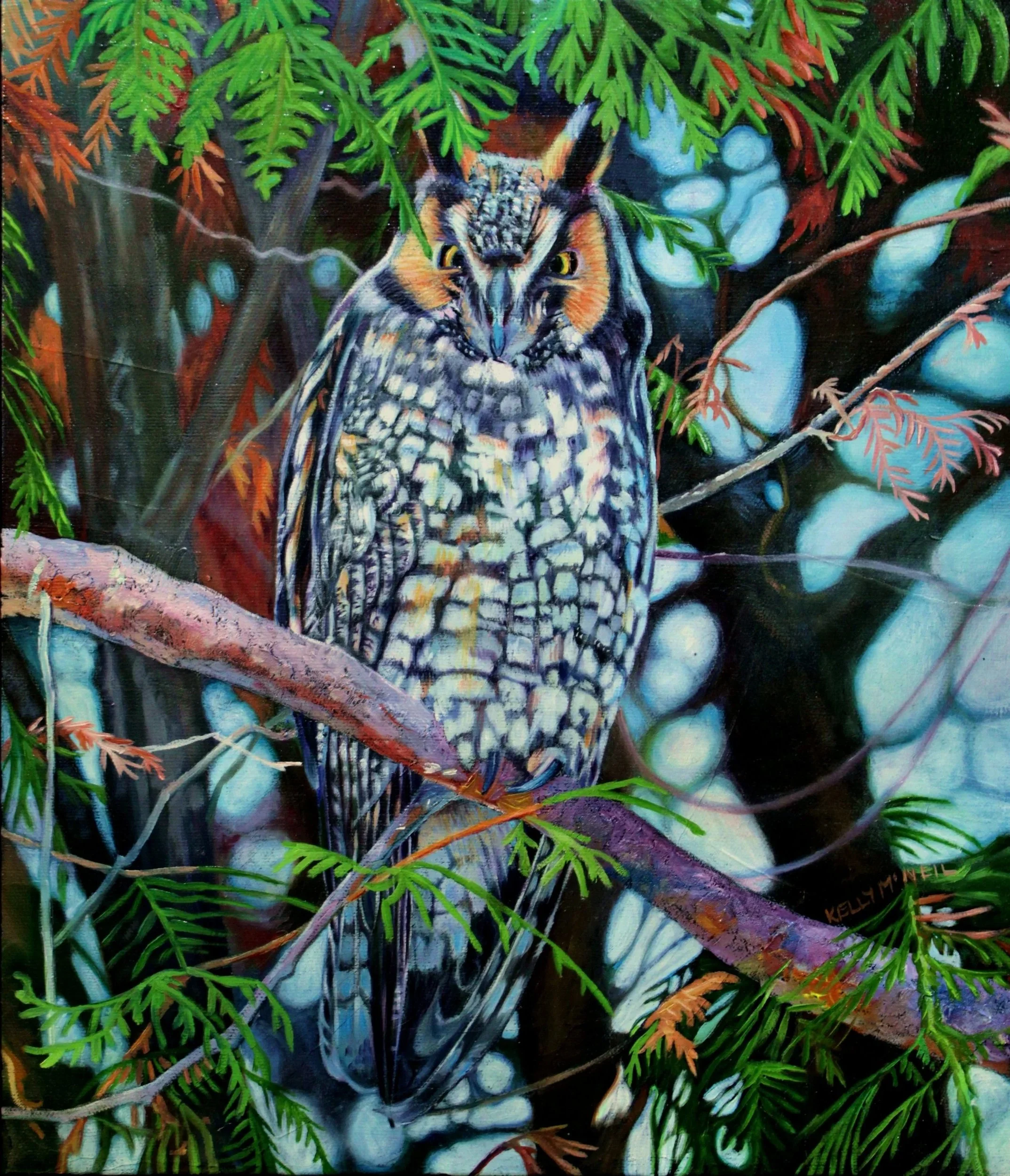  Whispering Boughs  - Long Eared Owl (12X14) OIL   Artist's Studio London, ON,