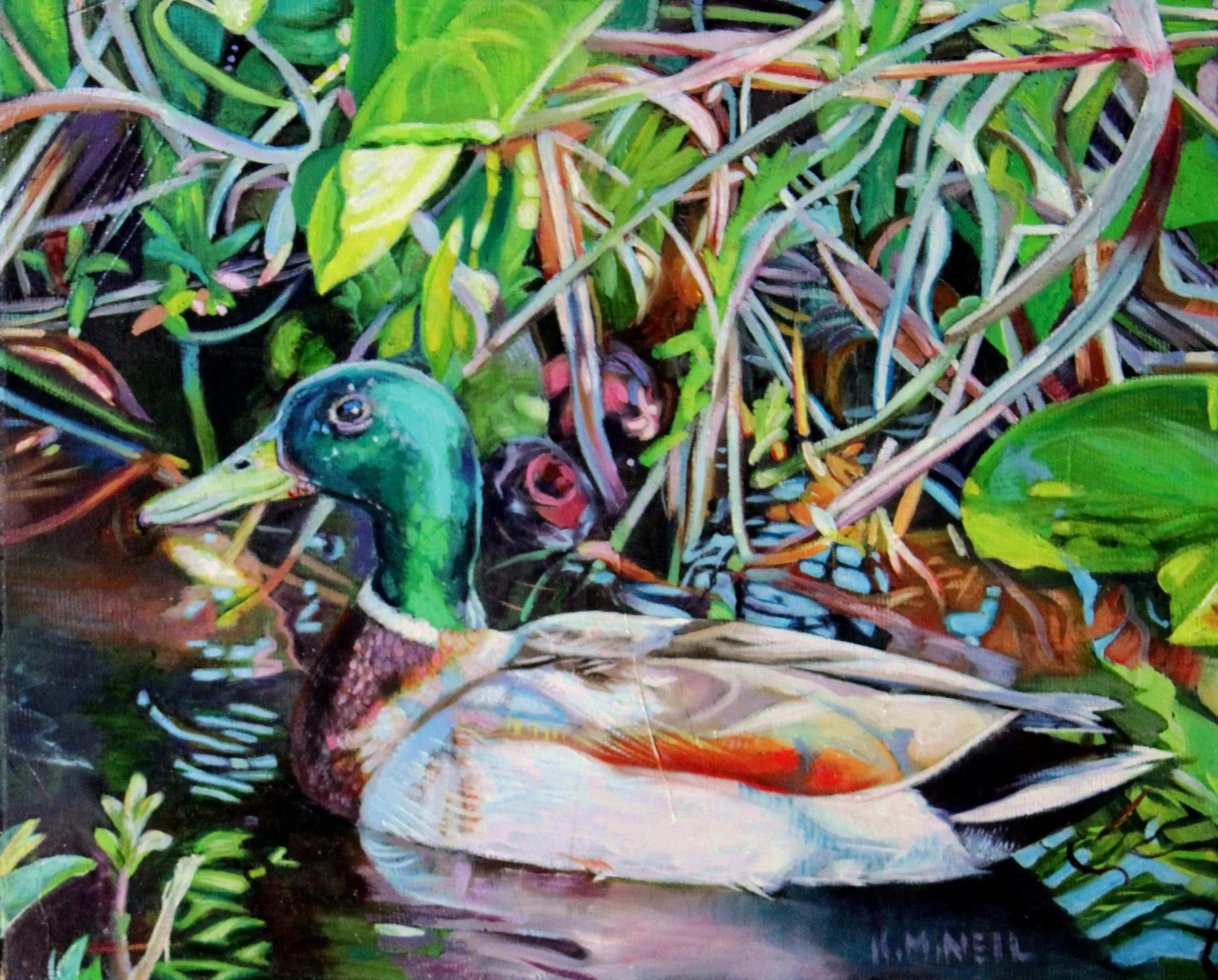  Marsh King -Mallard (8X10) OIL   Artist's Studio London, ON,