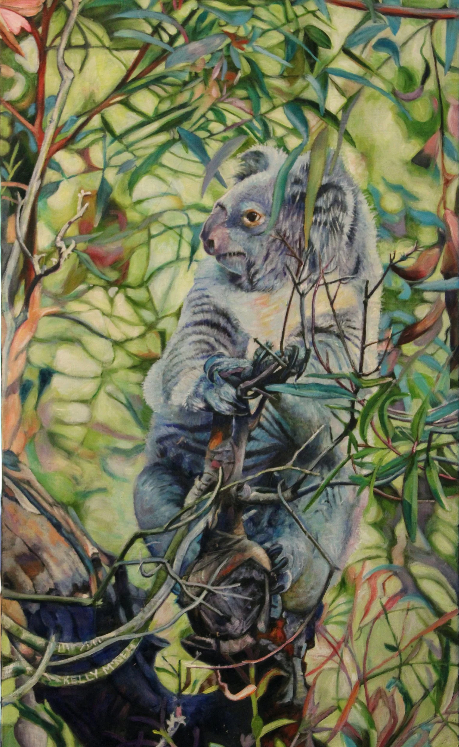  Shimmering Gumtree- Koala (12X20) OIL  Artist's Studio London, ON,