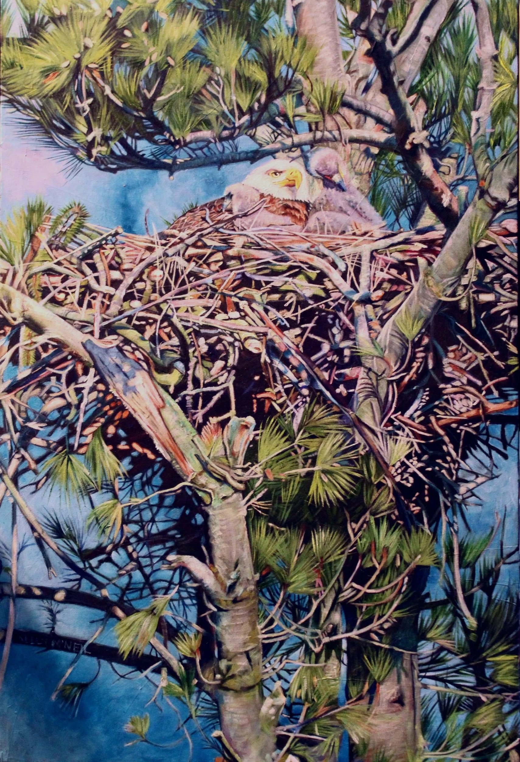  The Watchtower- Bald Eagles (16X24) OIL  Artist's Studio London, ON,