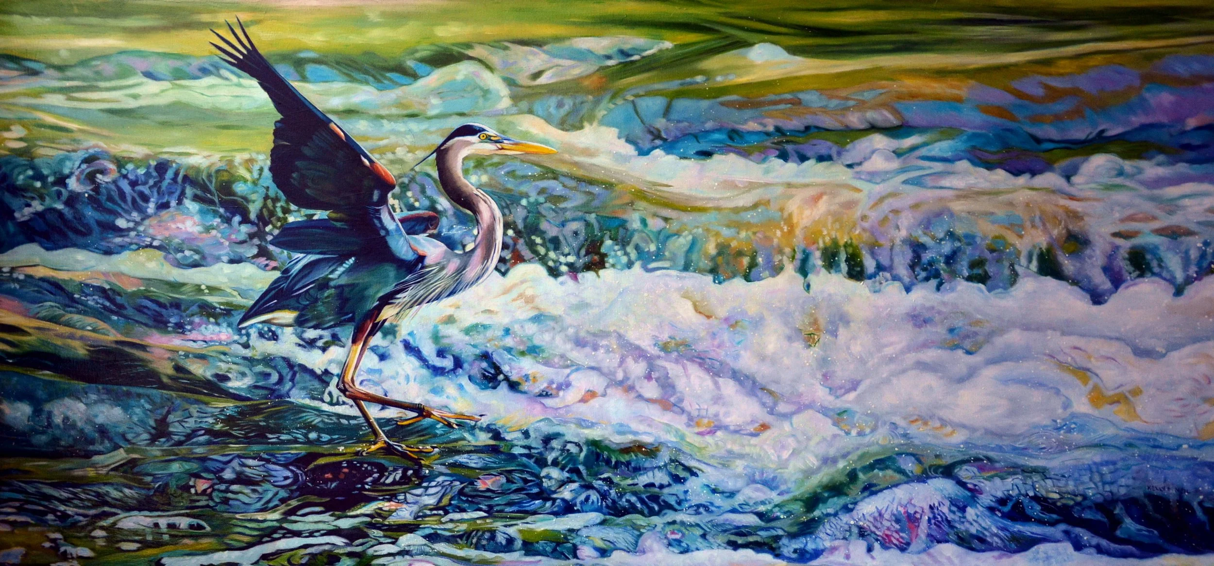    Great Blue Heron - Commission (24X48) OIL

 Sold  