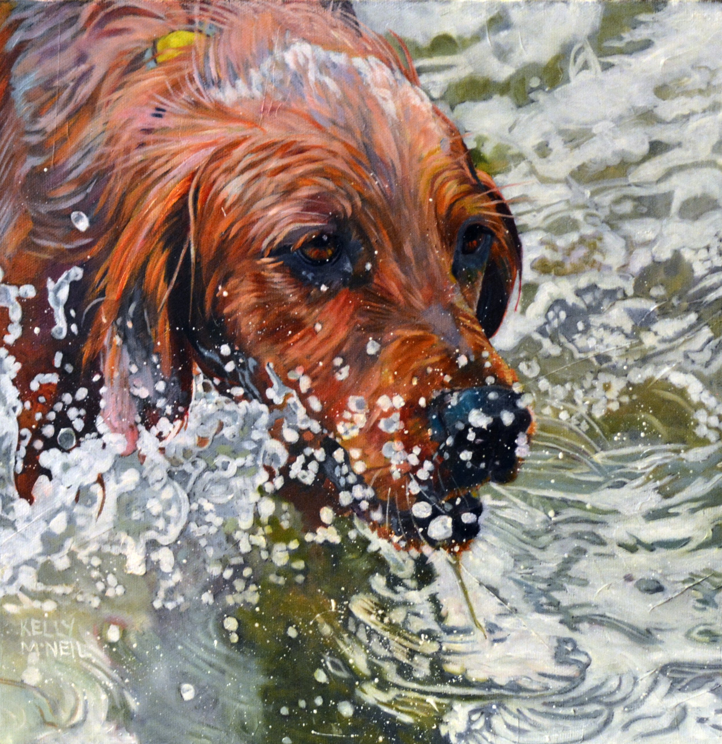  The Wave-Golden Retriever (22X28) Oil   Artist's Studio London, ON, FOR SALE
