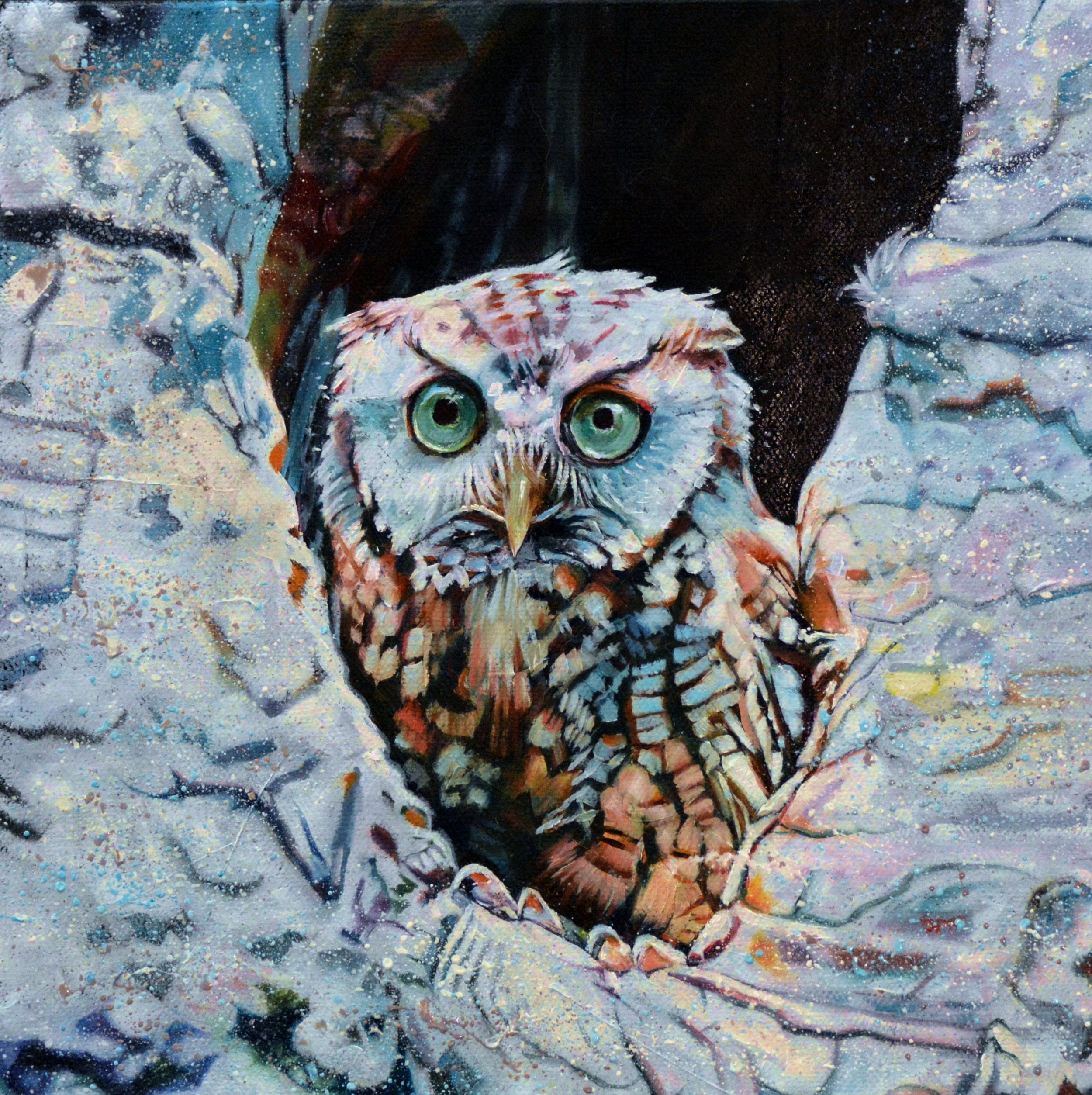  Little Screech Owl (8X8) Oil   Artist's Studio London, ON, FOR SALE