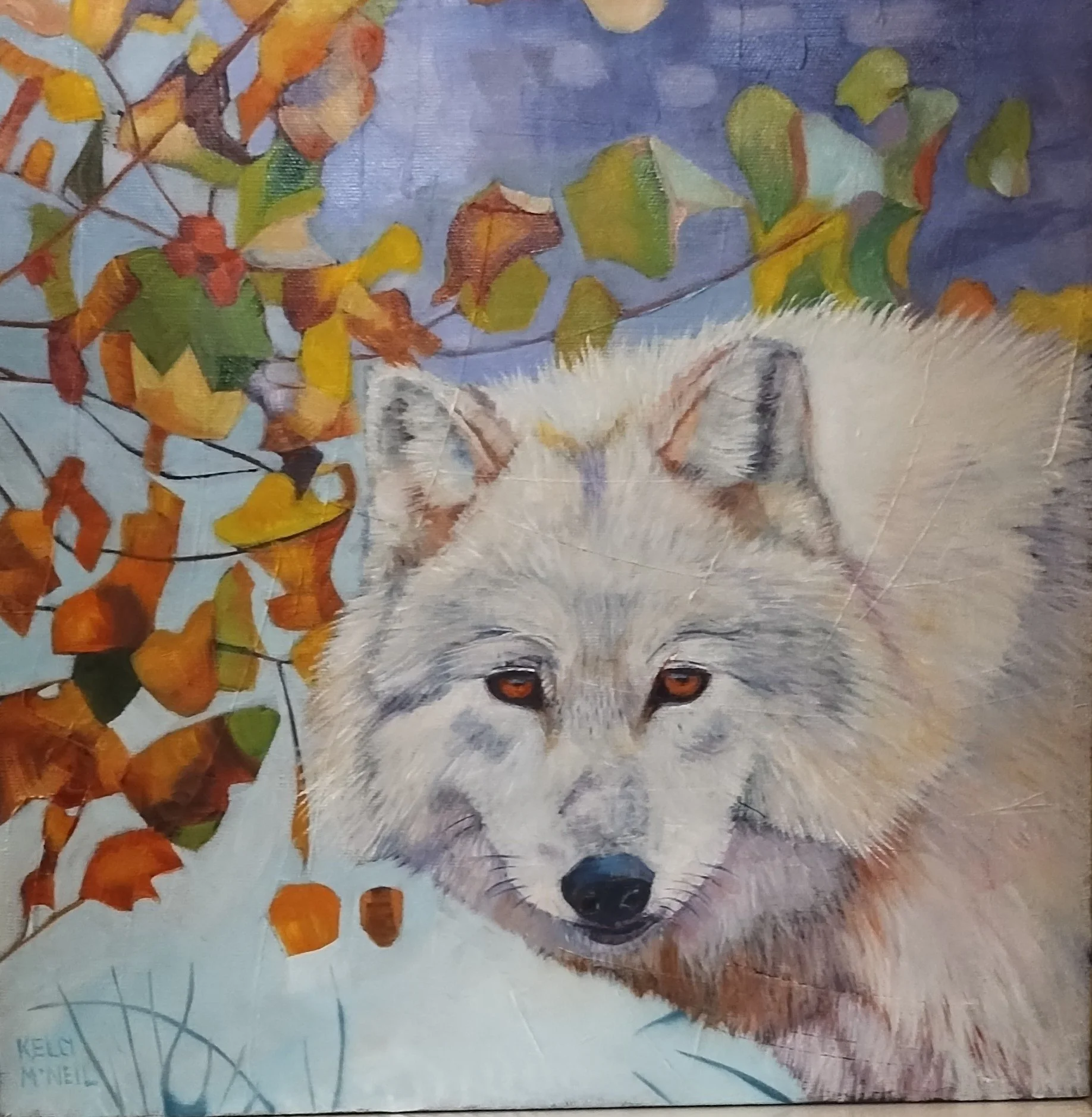  Autumn Timber Wolf (12X12)  OIL    Artist's Studio London, ON
 FOR SALE  