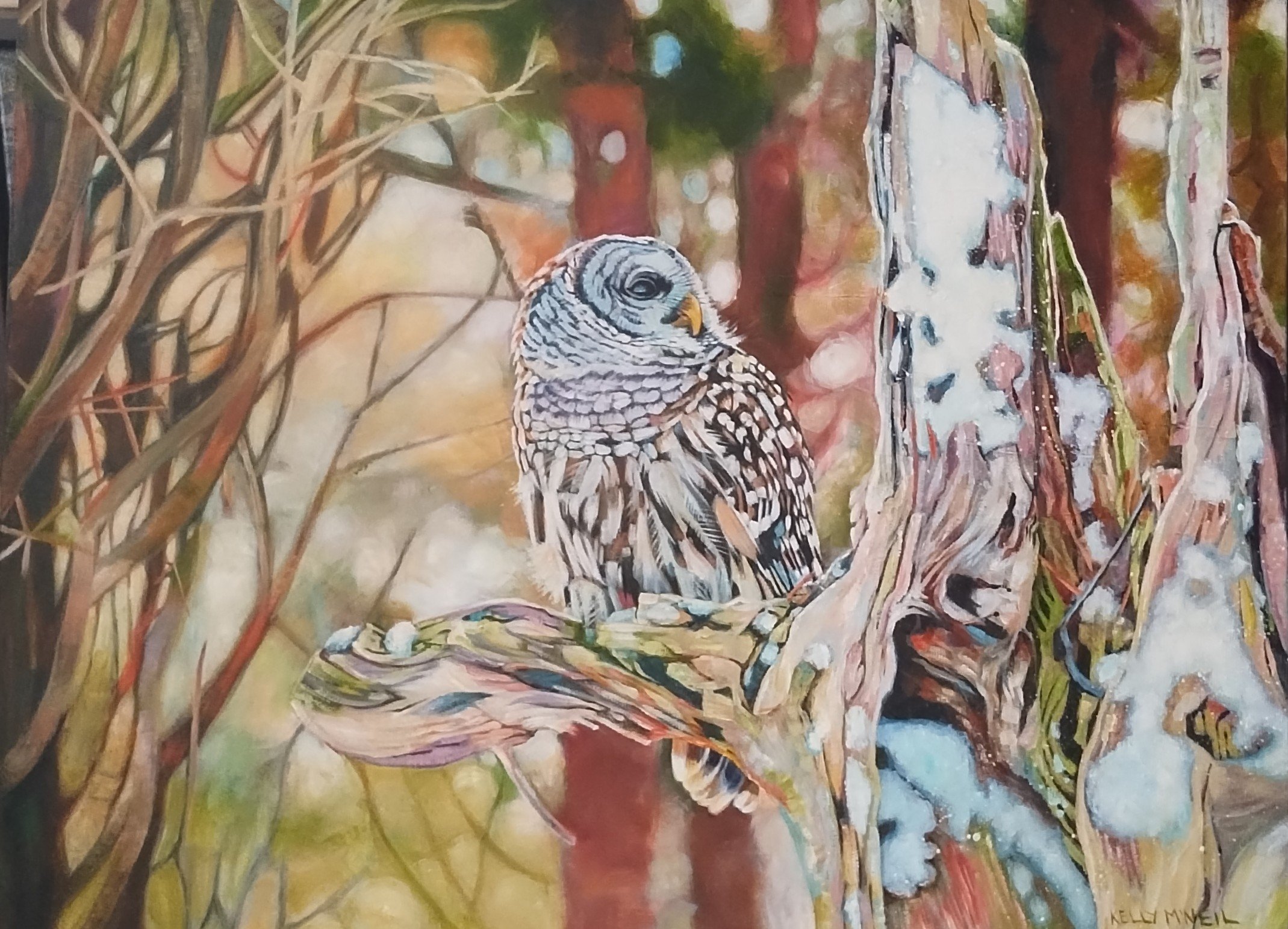  Northern Barred Owl (14X18) Oil   Artist's Studio London, ON, FOR SALE