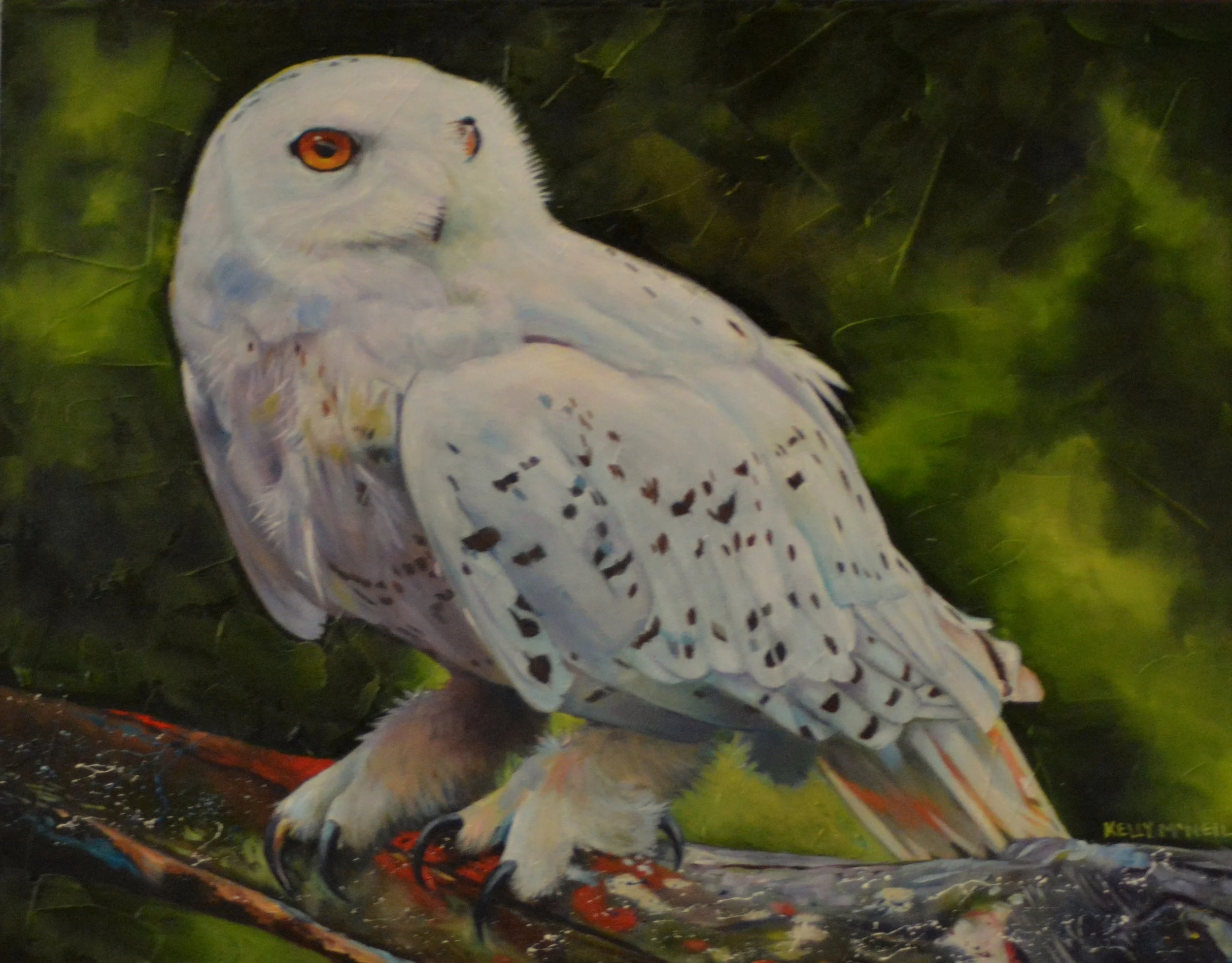  Skagway, Alaska, Snowy Owl (14X18) Oil   Artist's Studio London, ON, FOR SALE