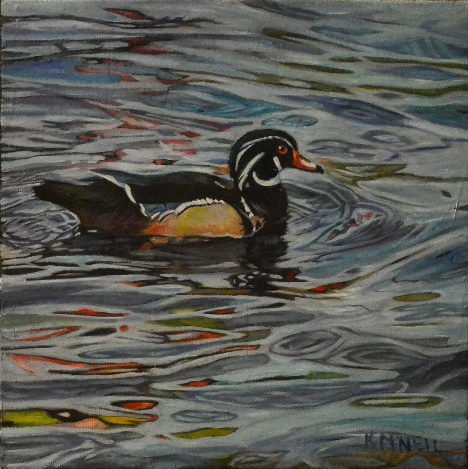  Carolina Duck - Wood Duck (8X8)  OIL    Artist's Studio London, ON
 FOR SALE  