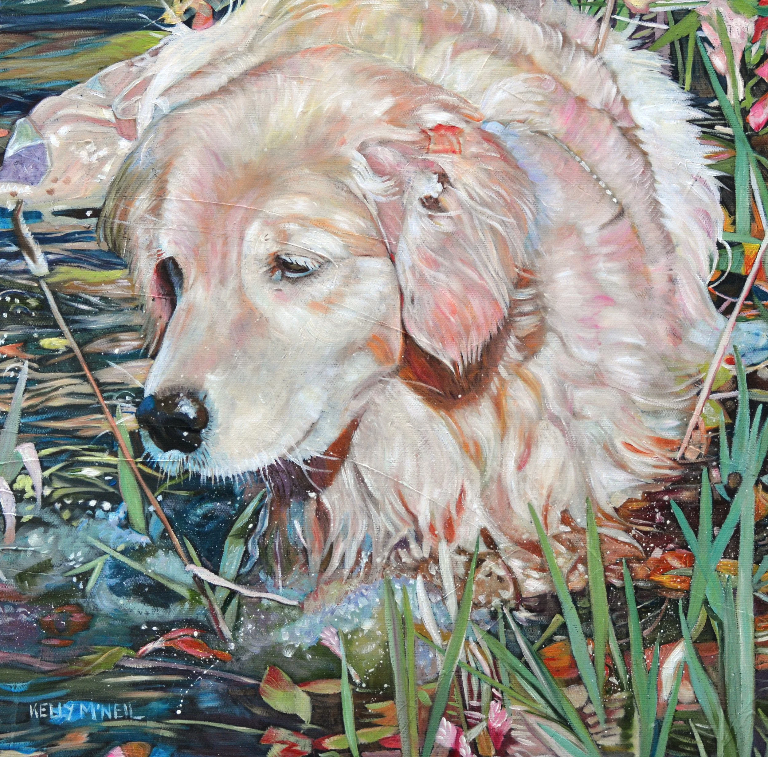  Whispers of Water and Gold, Golden Retriever (15X15) Oil   Dragon Fly Gallery, Orangeville, ON, for sale