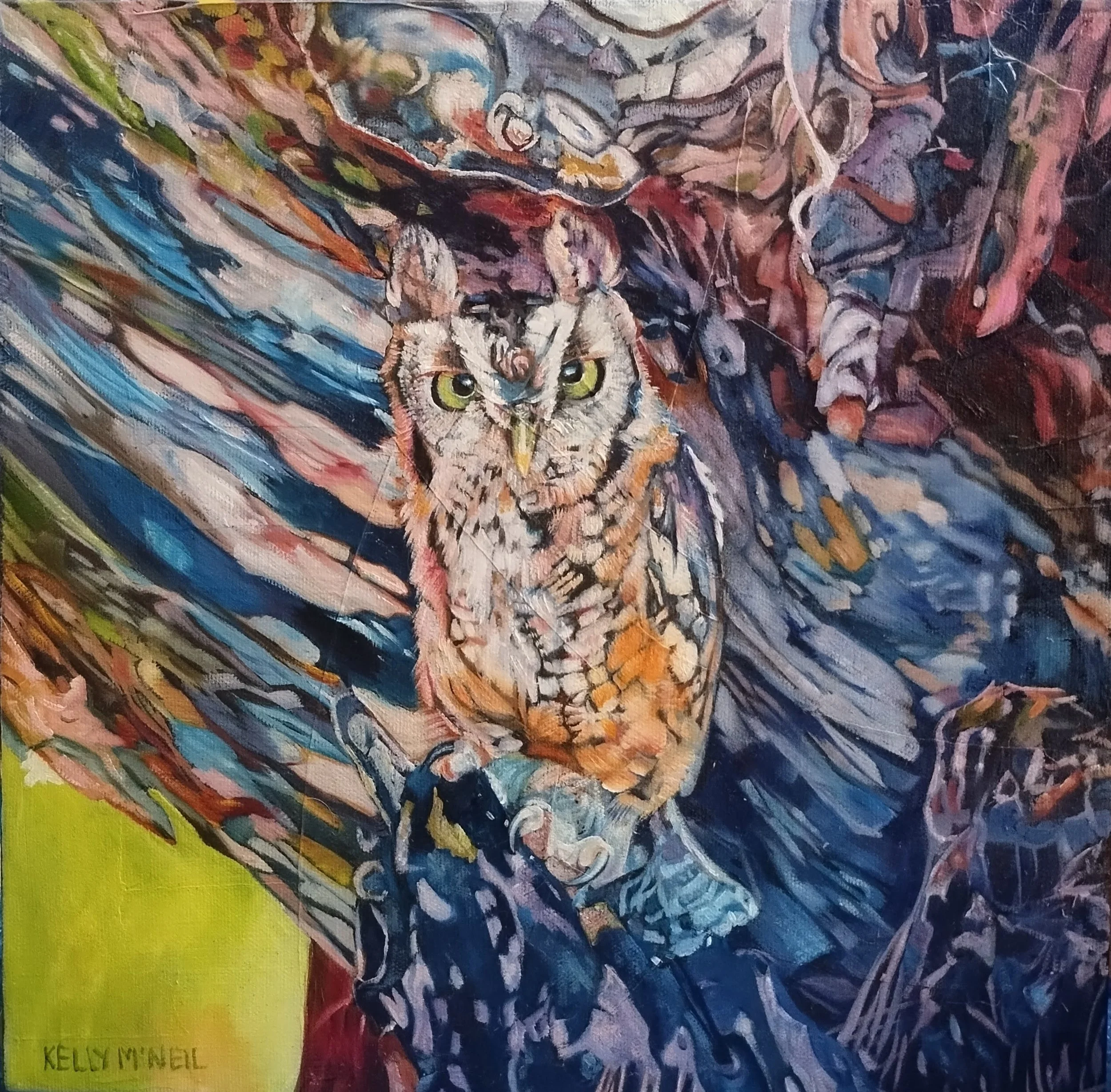  Masters of Camouflage, , Screech Owl (12X12) Oil   Artist's Studio London, ON, FOR SALE