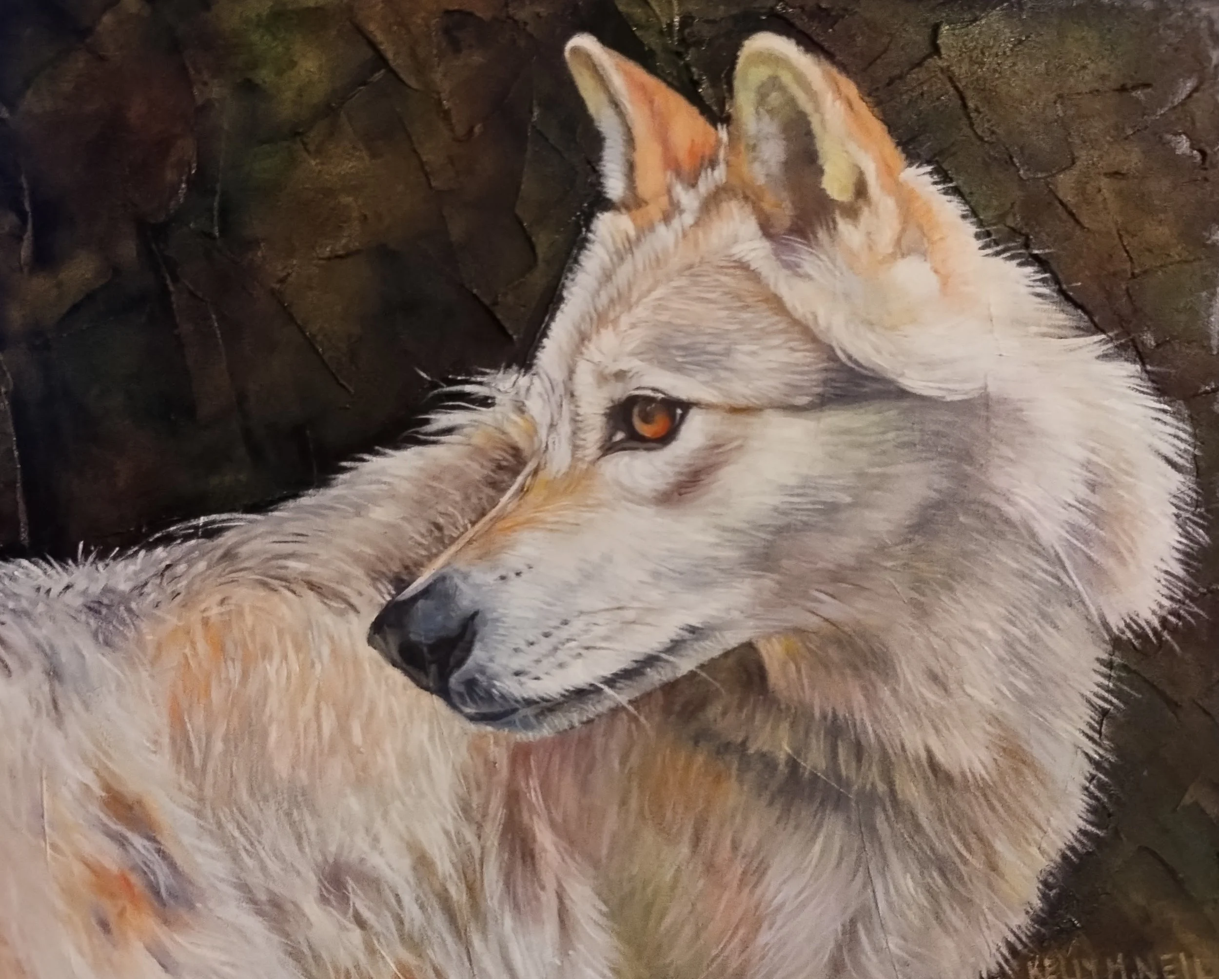  Gray Wolf Portrait  (11X14) OIL  Artist's Studio London, ON,

 FOR SALE  
