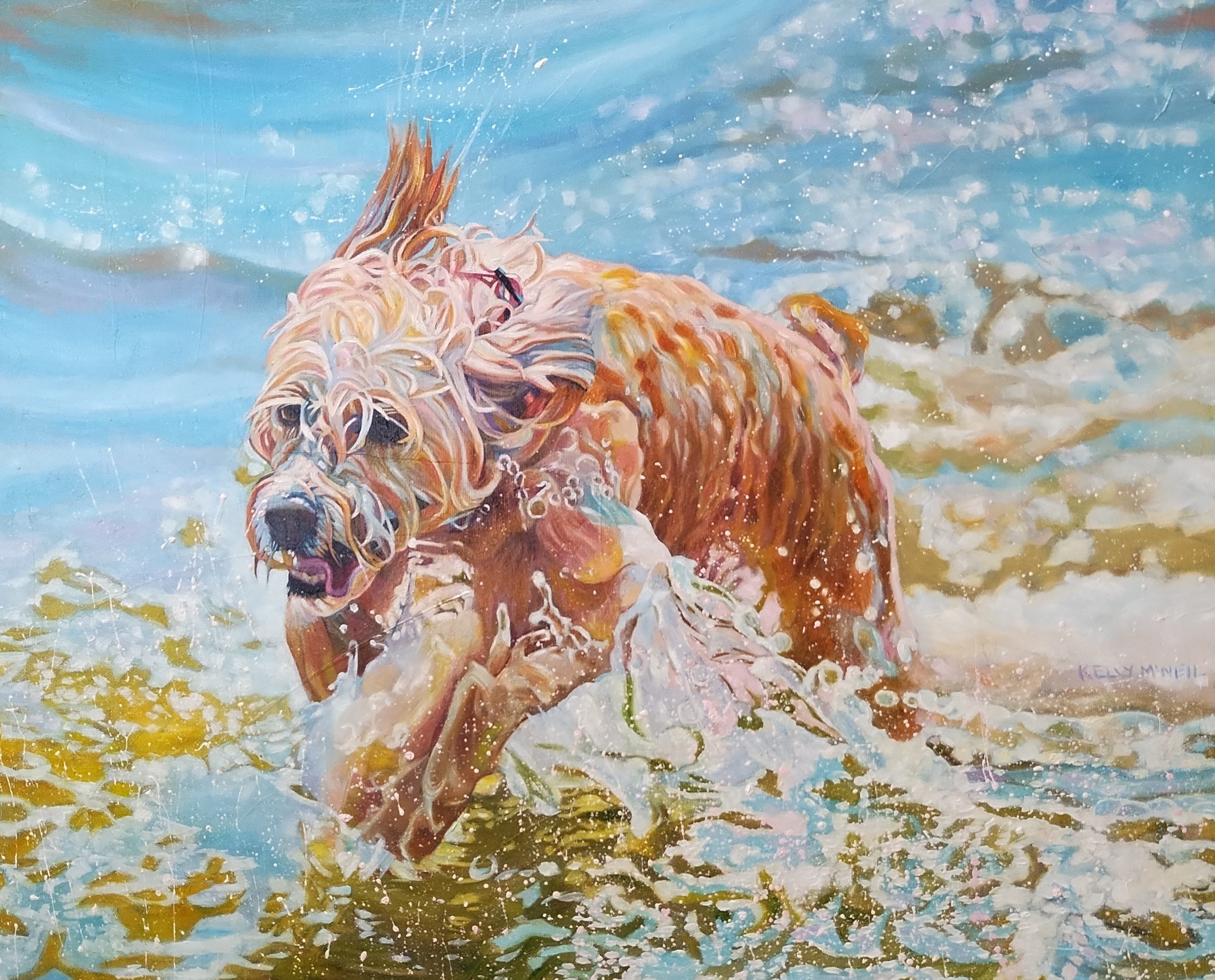  Super Doodle - Golden Doodle (20X24) OIL   Dragonfly Gallery, Orangeville , ON
  For Sale  