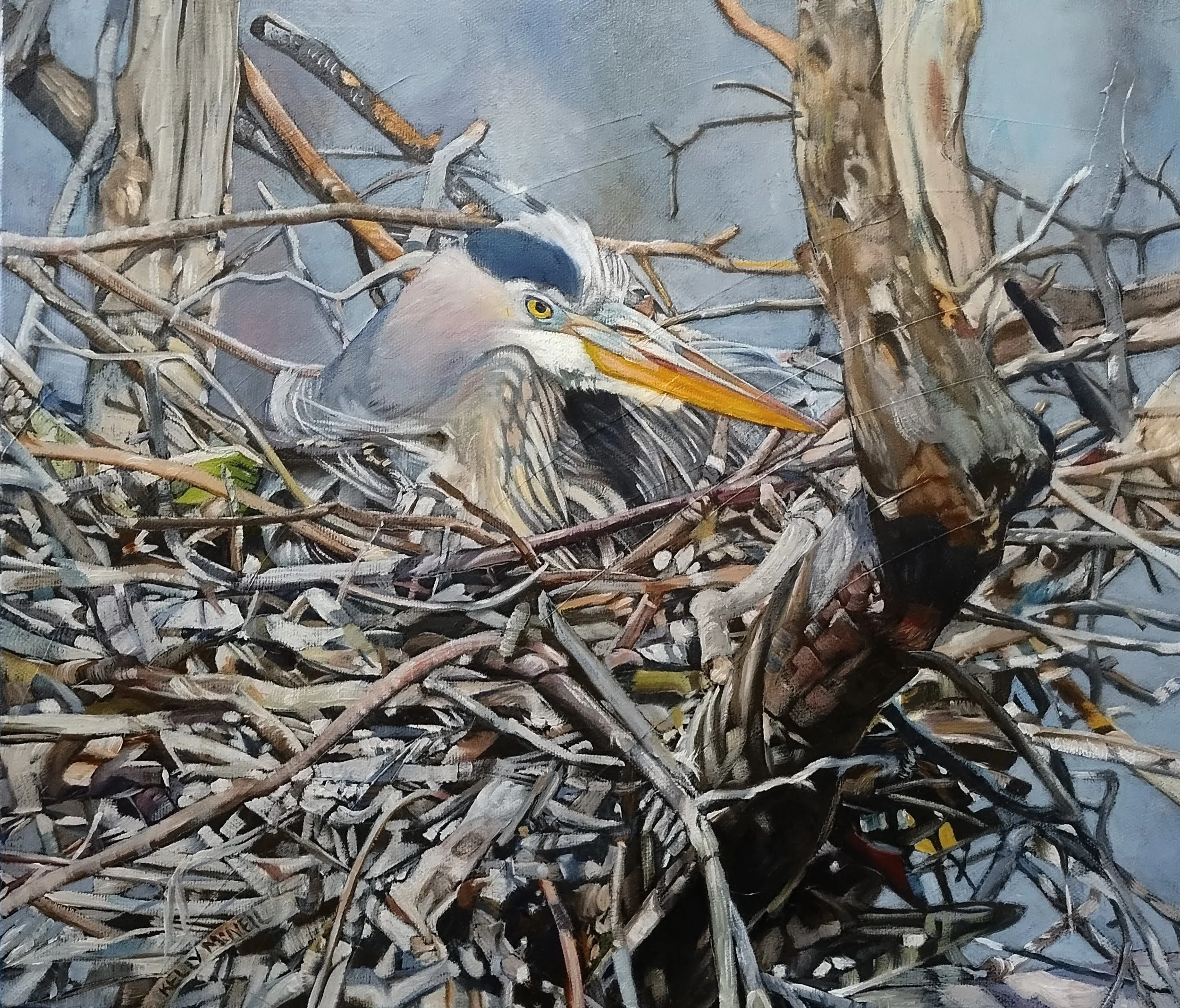  The Rookery, Great Blue Heron (12X14) Oil   Artist's Studio London, ON, FOR SALE