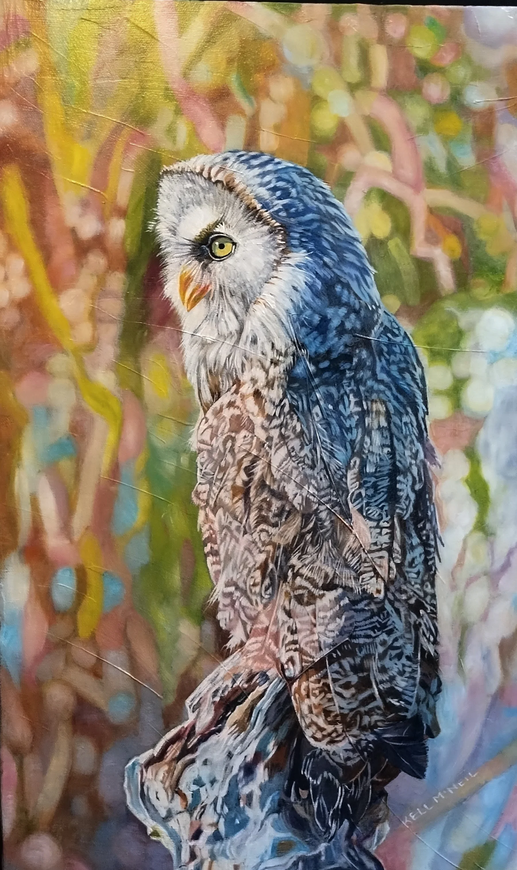  Sweeping Soundlessly through the Forest - Great Gray Owl (12X20) OIL   Artist's Studio London, ON,

 FOR SALE  