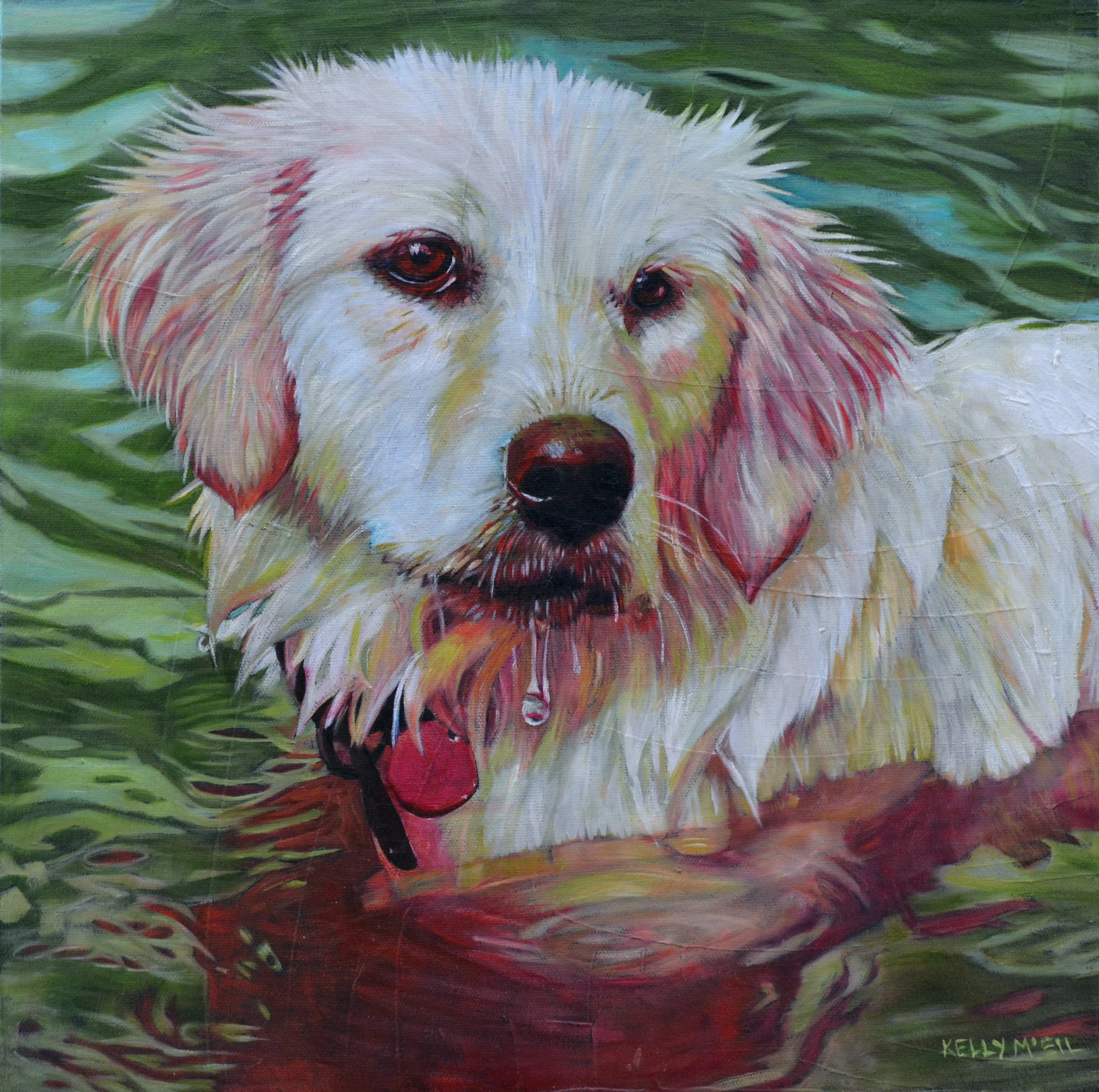  Reflections of a Faithful Heart, Golden Retriever (15X15) Oil   Artist's Studio London, ON, SOLD