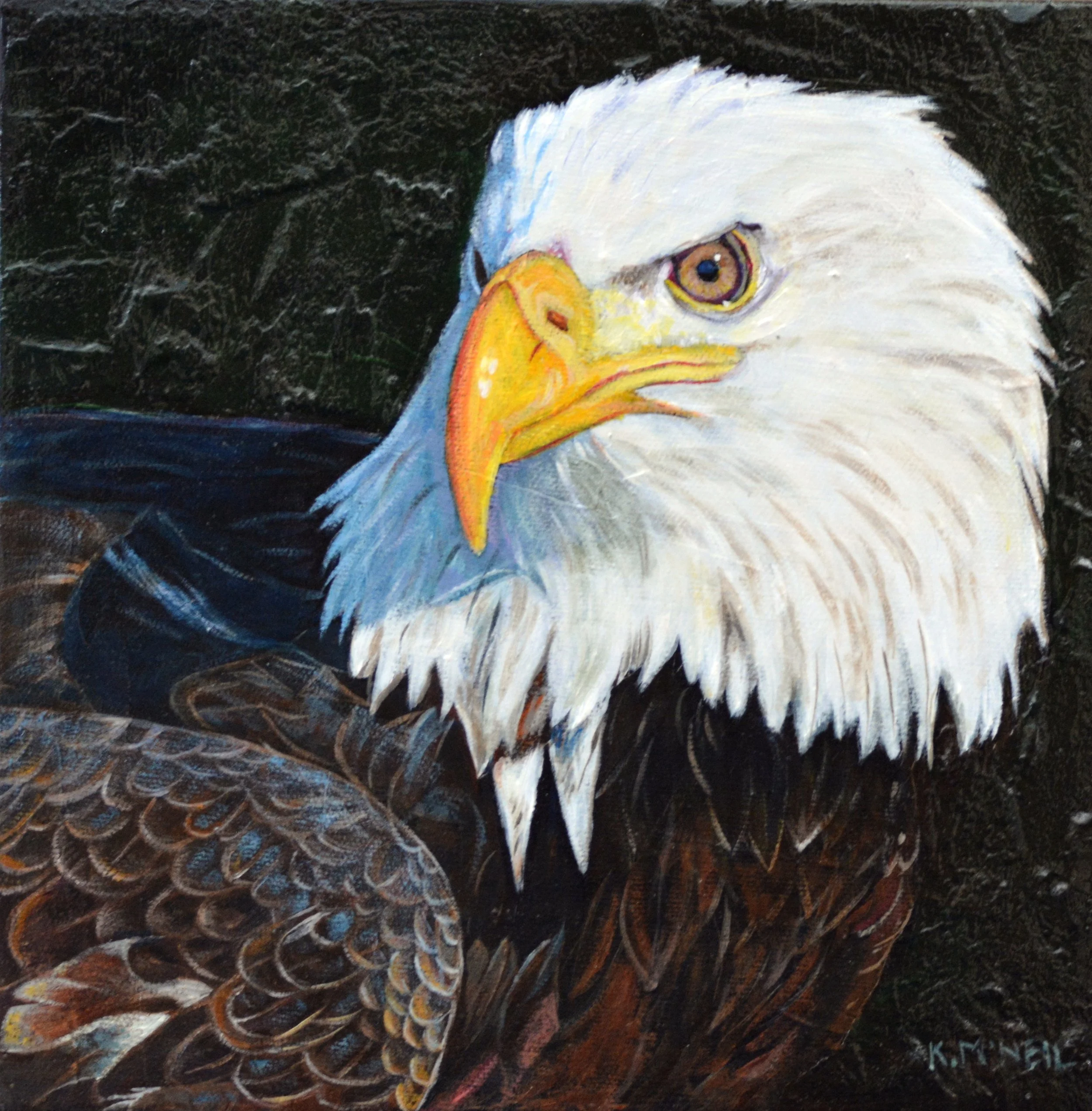  The Sovereign Gaze, Bald Eagle (9X9) Acrylic   Artist's Studio London, ON, FOR SALE
