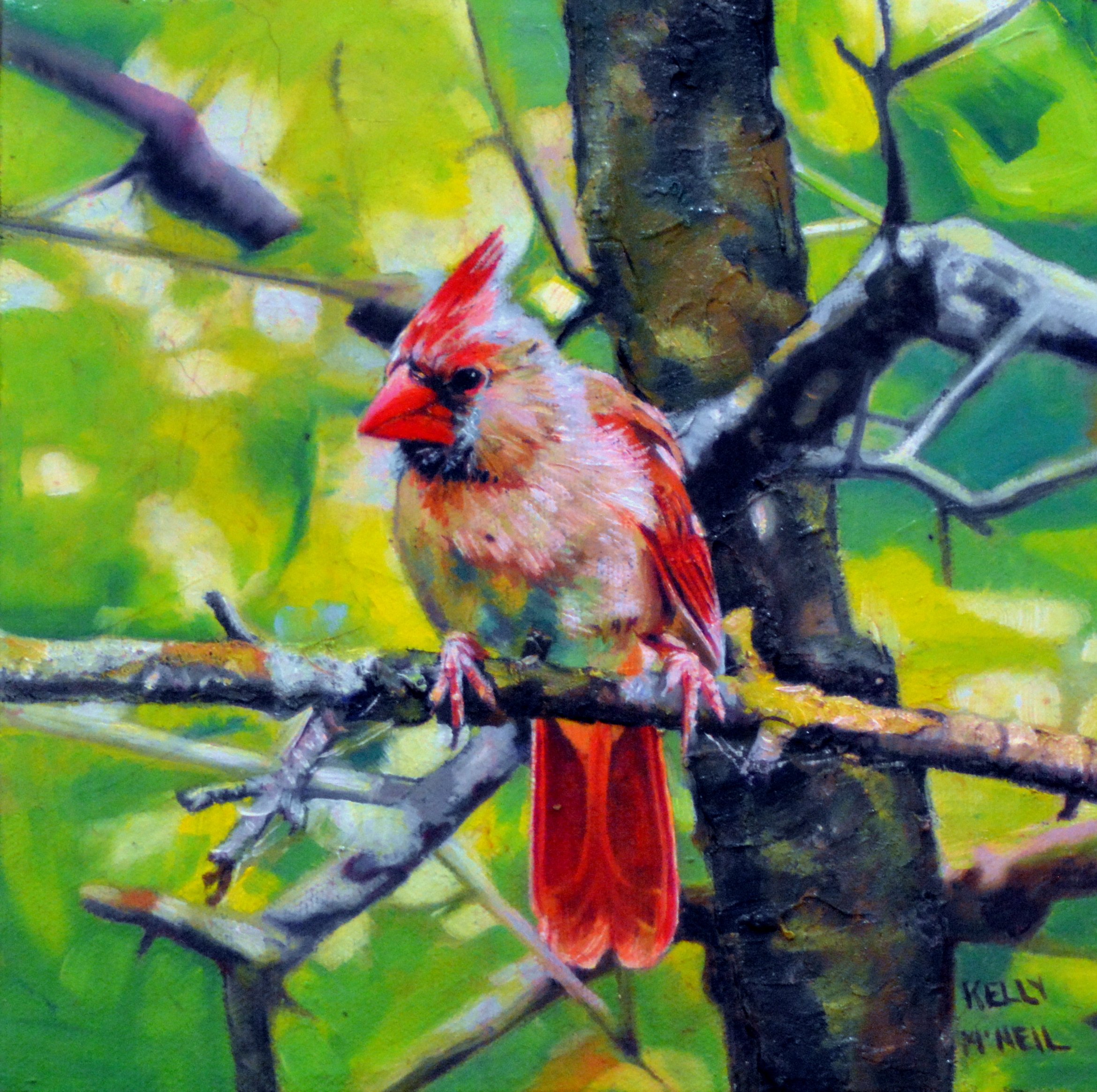  Female Cardinal (8X8) Oil    Dragonfly Art Gallery,, Orangeville, ON, FOR SALE
