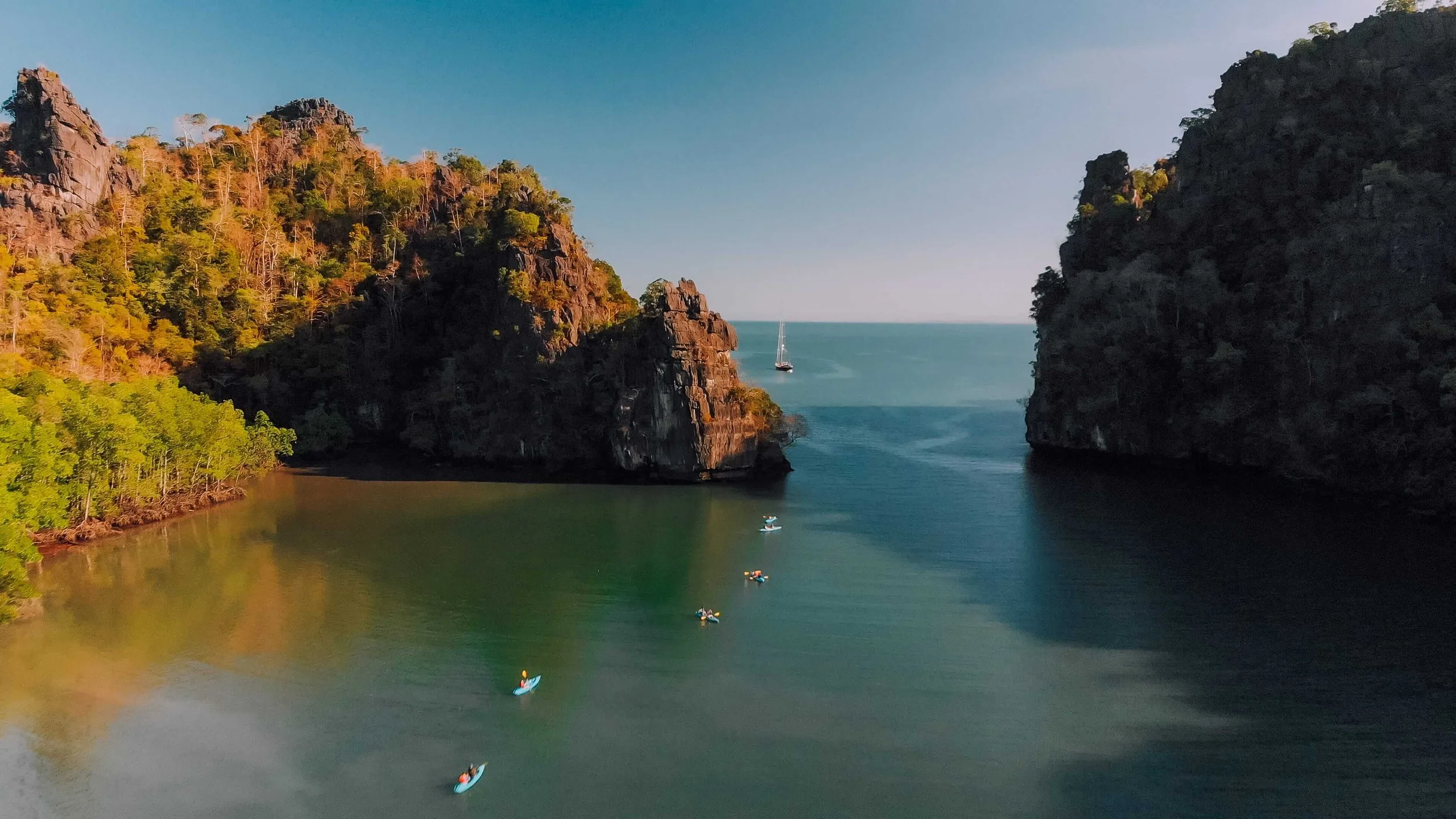 Rainforest, Mangrove, or Sea? Choosing Your Langkawi Nature Experience