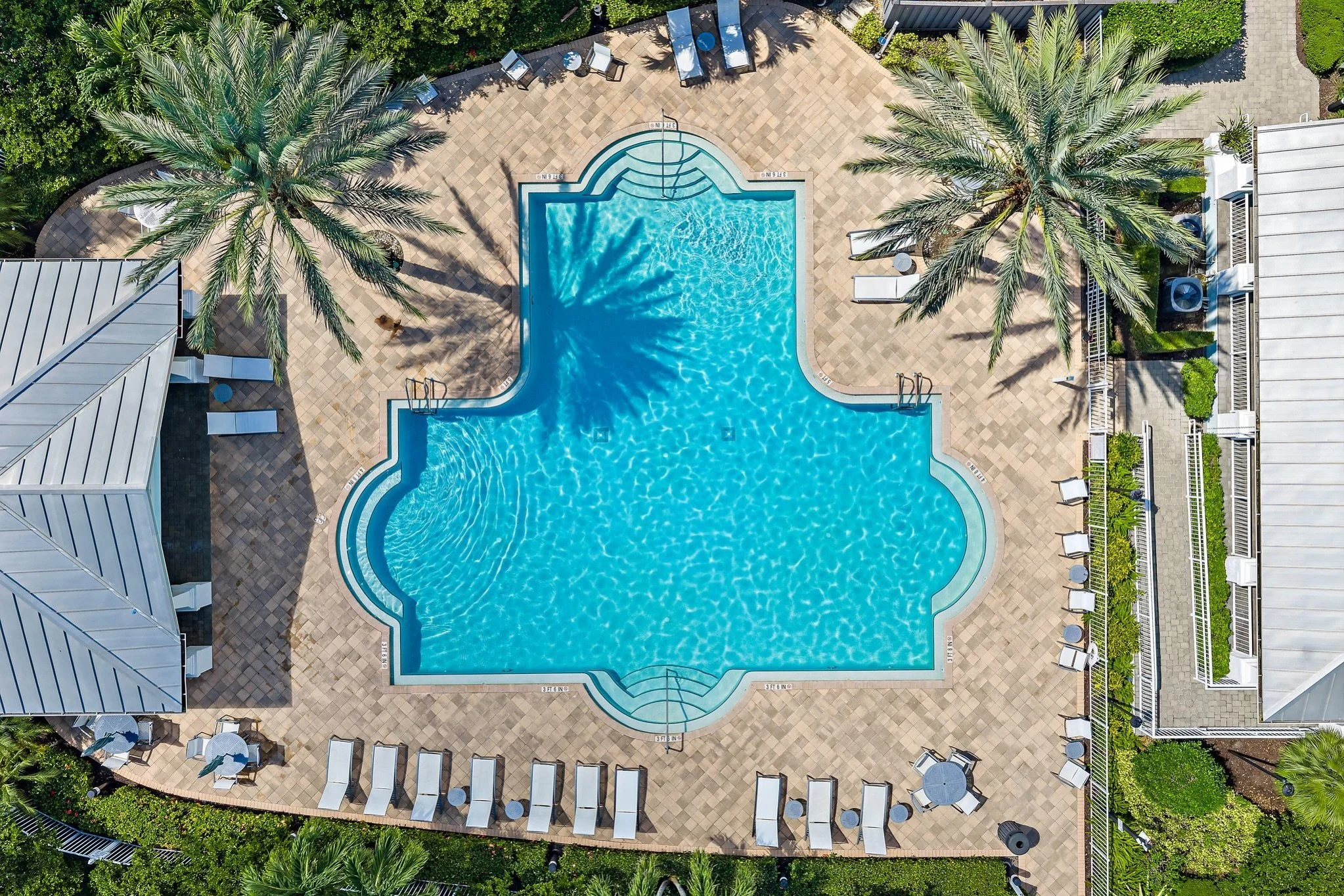 Amenities make the experience, and Windsor Park has some of the best in Abacoa: 

- pool
- fitness
- clubhouse
- grill area
- fire pit

Reach out to learn more from a resident 🙋&zwj;♂️