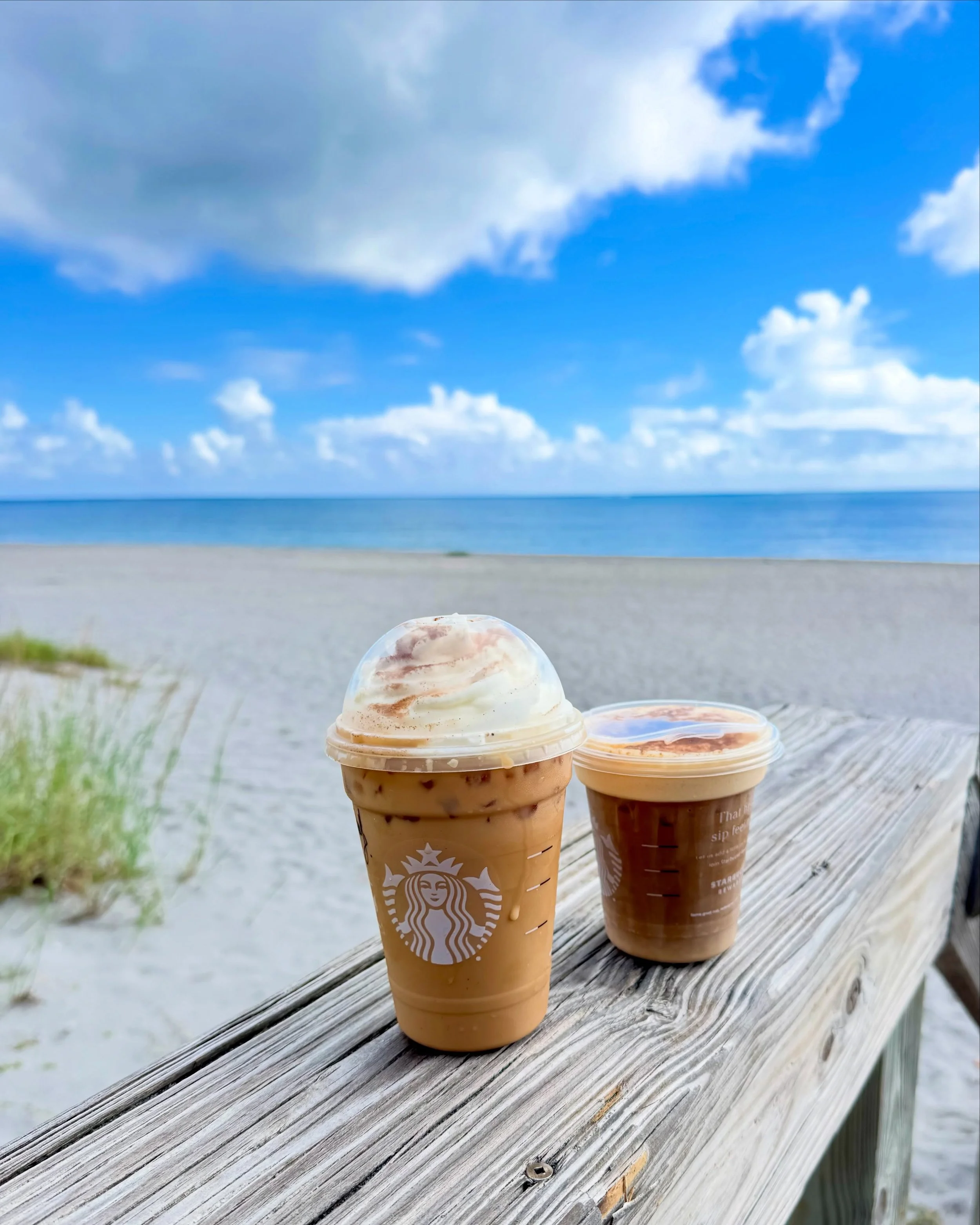 Nothing quite says pumpkin spice season 🍂 like 84&deg; and blue seas 🌊