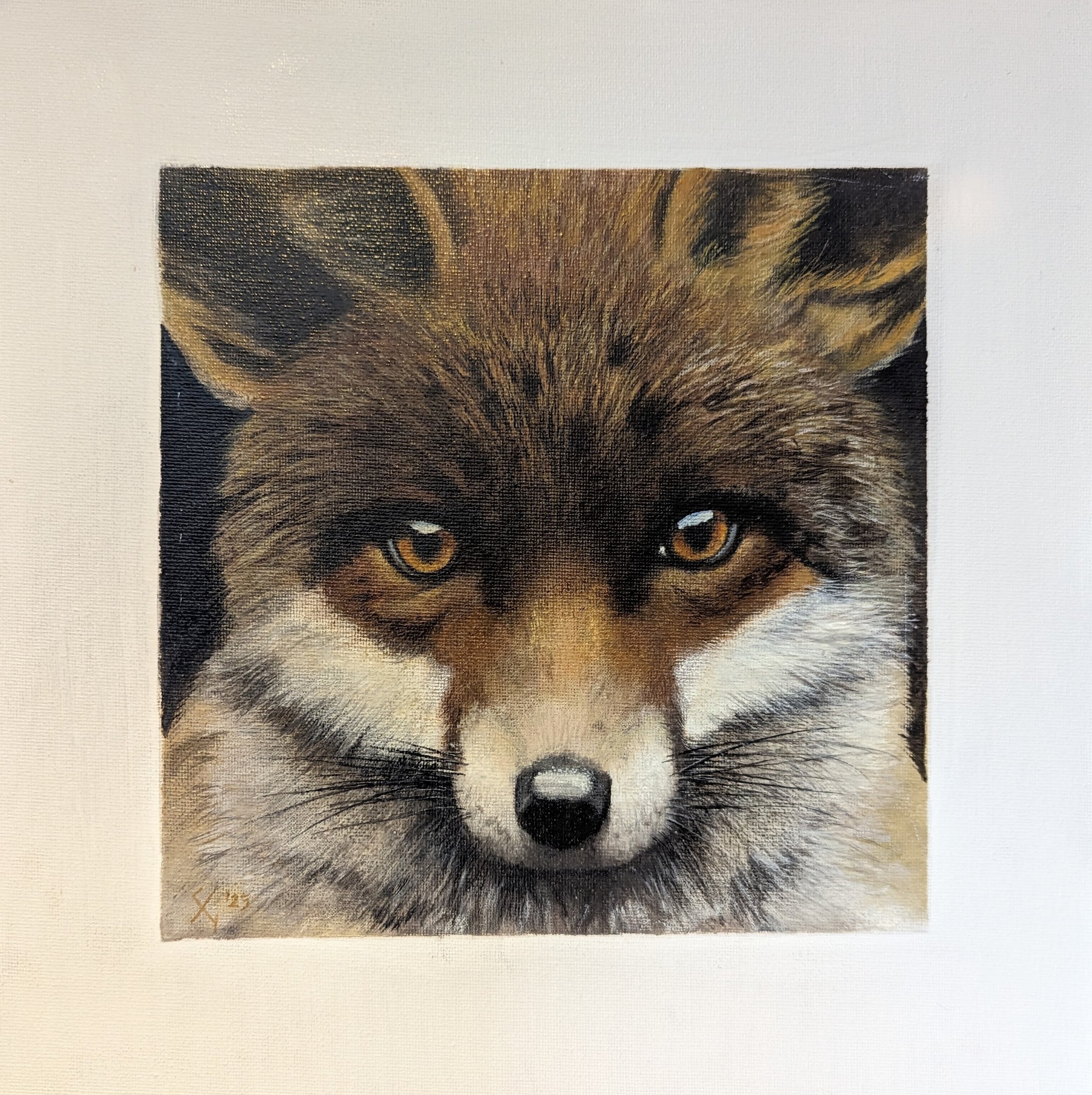 Urban Fox