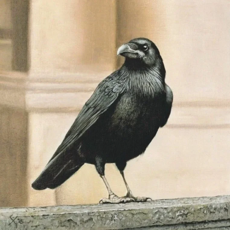 Crow