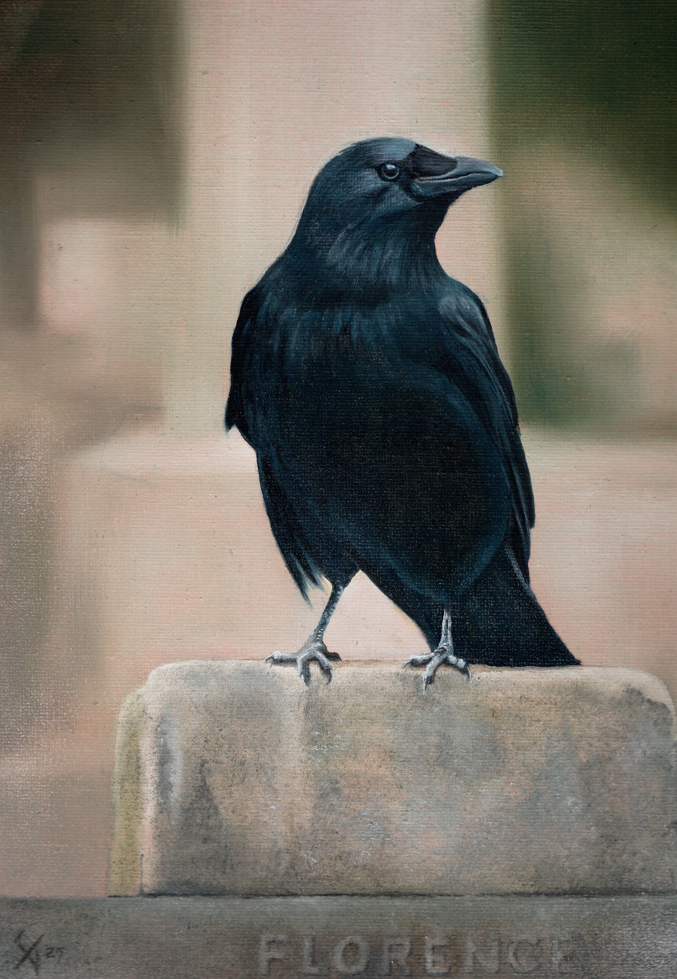 Crow