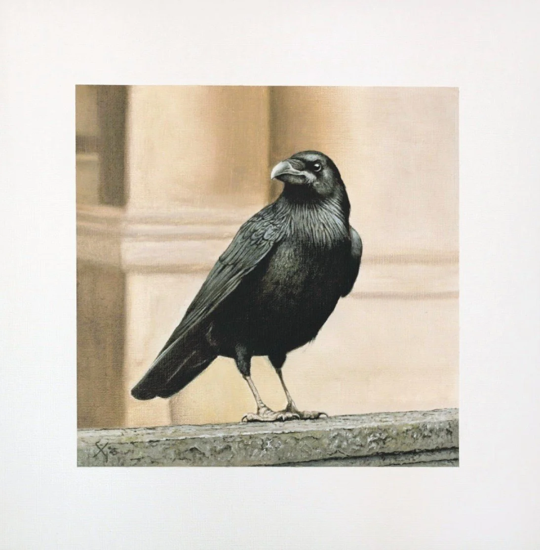 Crow #2.jpg