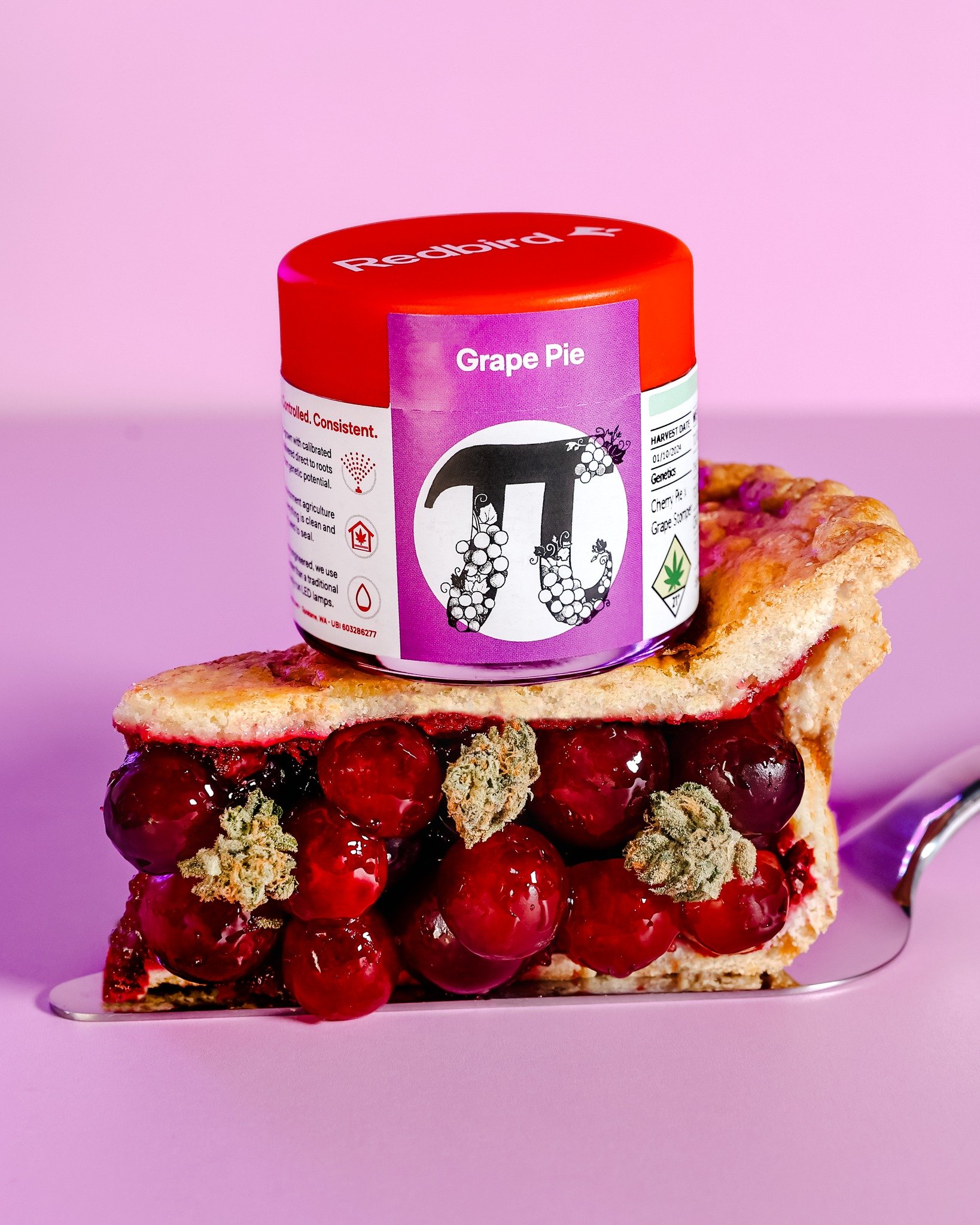 Indulge your senses in a slice of heaven with our GRAPE PIE. 🍇🥧 

GRAPE PIE, a yummy hybrid cross of Cherry Pie x Grape Stomper, is sweet, potent, and oh-so-satisfying, 

***This product has intoxicating effects and may be habit forming. Marijuana 