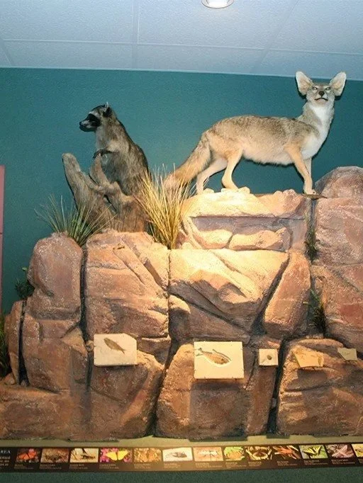 10. Lake Havasu Museum of History