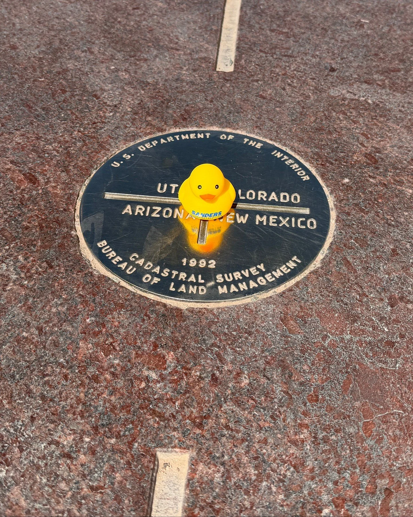 Can Do Duck is on vacation and he's got a little tip for you: don&rsquo;t leave your thermostat out here freelancing. Bump it up a few degrees while you&rsquo;re gone so you save energy without coming home to a house that feels like a damp greenhouse