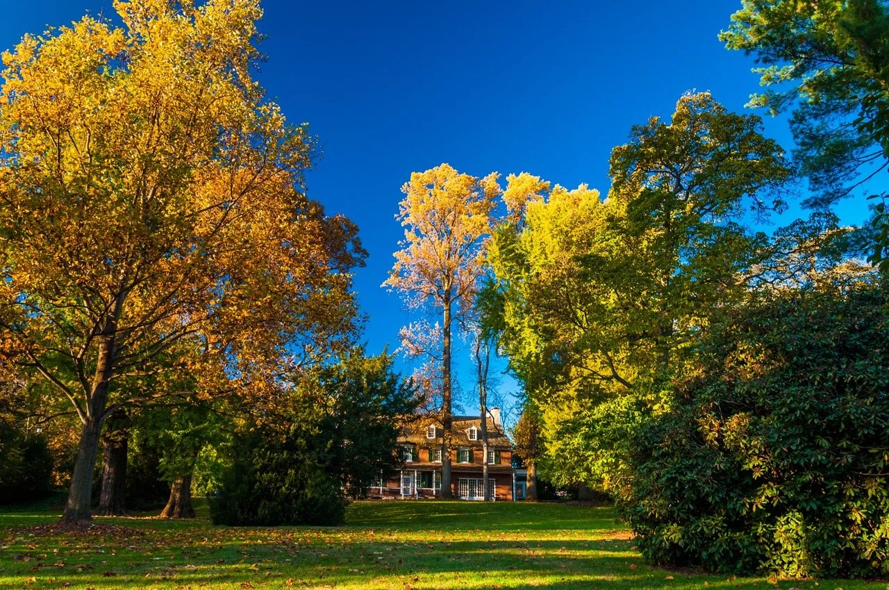 Thirsty tree roots vs. your home&rsquo;s main sewer line... who wins? 🌳💧

Roots are biologically driven to find moisture, and even a hairline crack in your underground pipes is an open invitation. Once inside, they grow fast&mdash;leading to major 