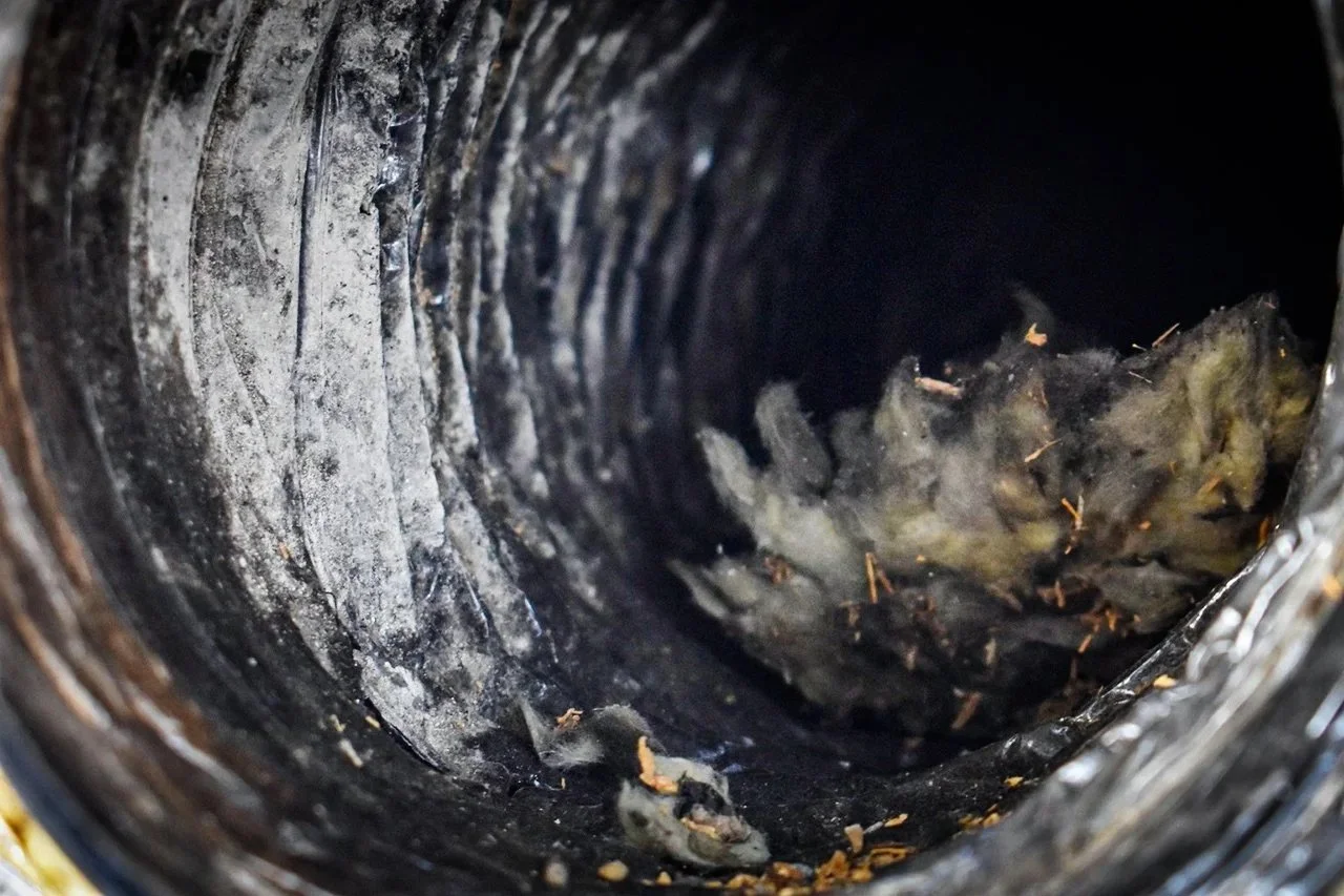 Out of sight, out of mind... but dirty air ducts could be costing you hundreds! 🧹💰

Restricted airflow forces your air handler to draw more power, increasing utility costs and placing unnecessary wear on your heating and cooling equipment.

See our